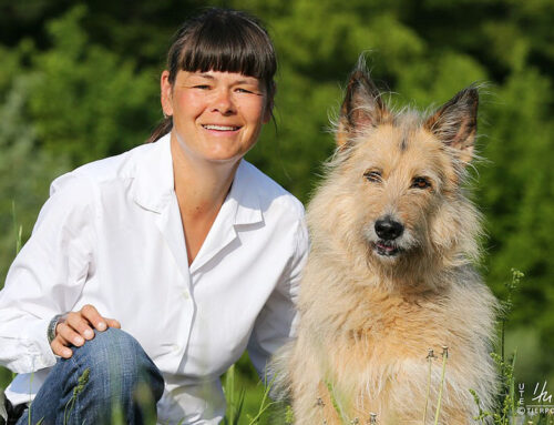 EVENT: Einführung in Verhalten & Körpersprache unserer Hunde am 08. Oktober 2023