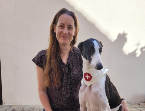 EVENT: Erste Hilfe am Hund am 10. März 2024 – AUSGEBUCHT –