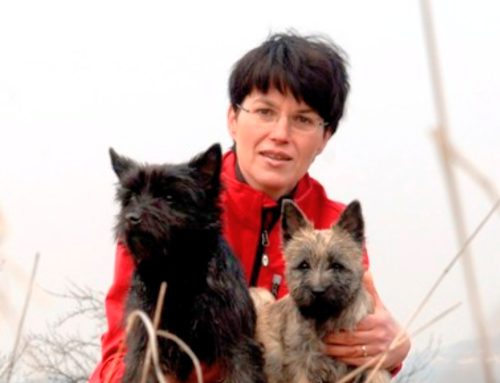 EVENT: Tricktraining am 25. März 2023