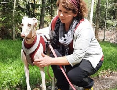 EVENT: Hilfe, mein Hund jagt! am 18. November 2023