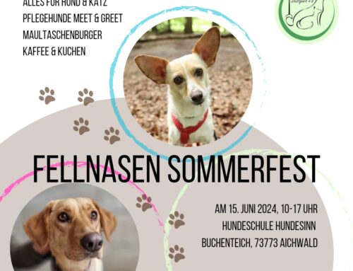Fellnasen Sommerfest 2024