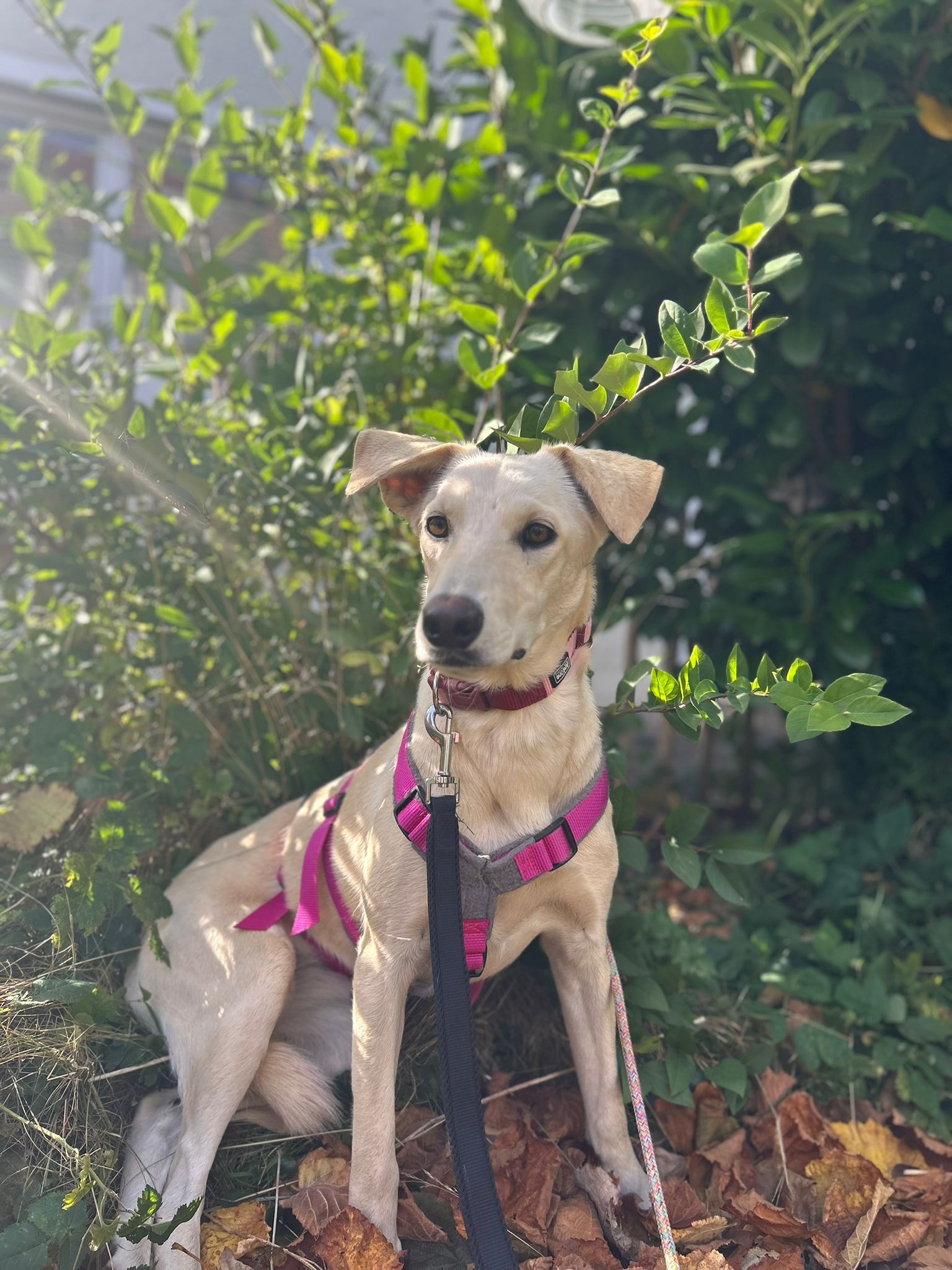 WhatsApp Image 2025-11-09 at 13.15.15