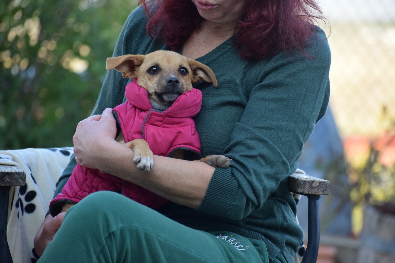 Fellnasen Stuttgart_Moxie (1)