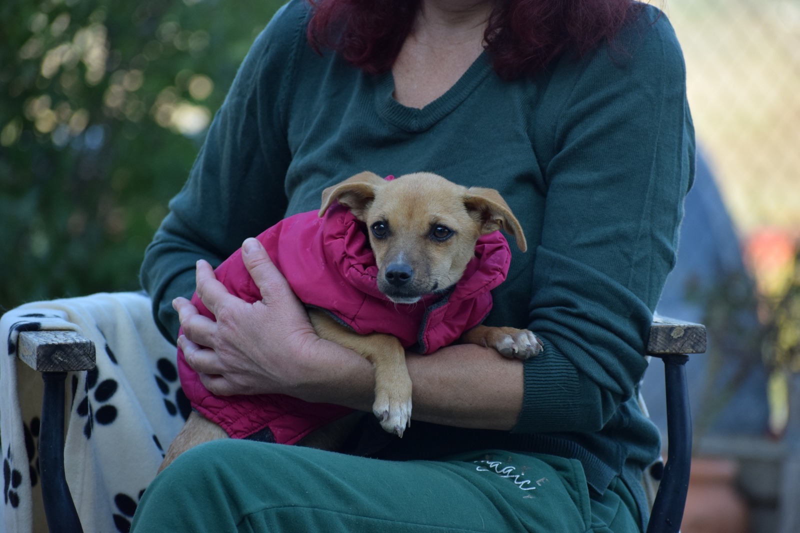 Fellnasen Stuttgart_Moxie (2)