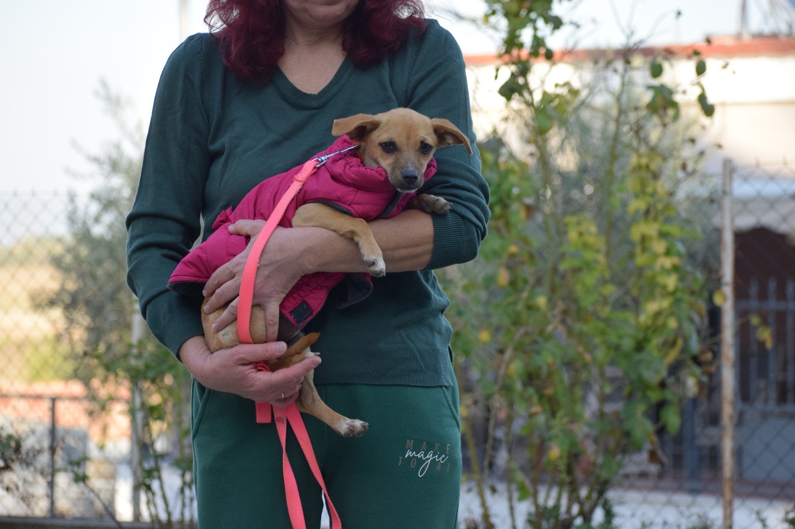 Fellnasen Stuttgart_Moxie (3)