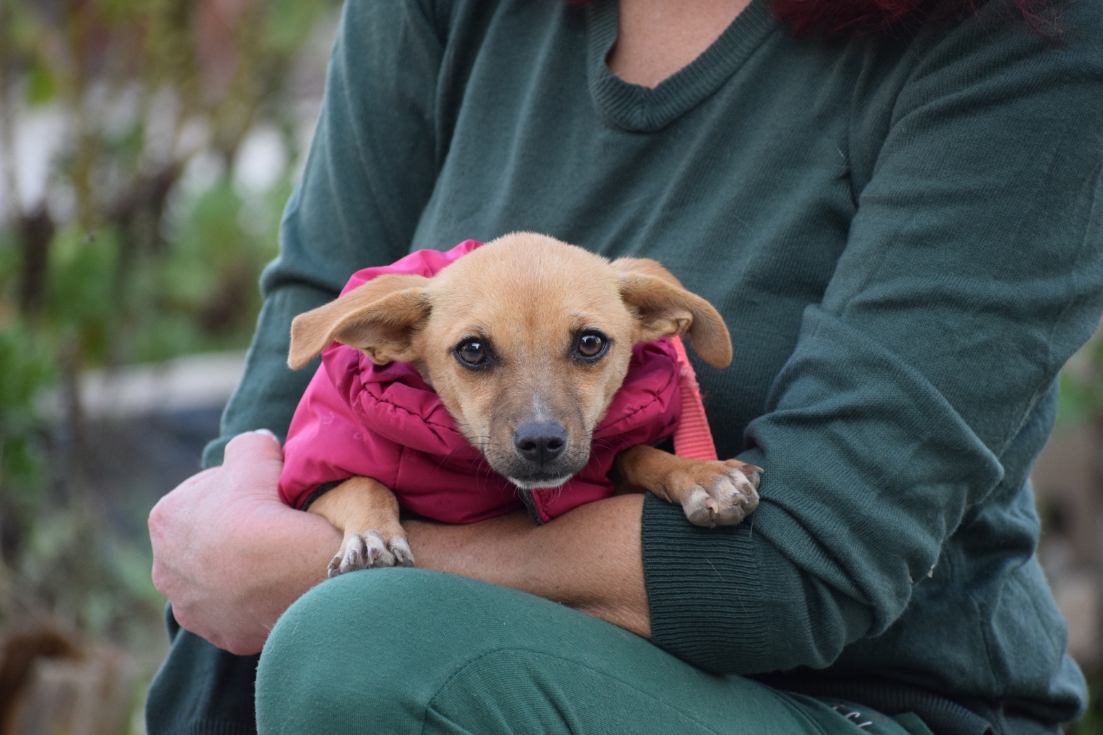 Fellnasen Stuttgart_Moxie (4)