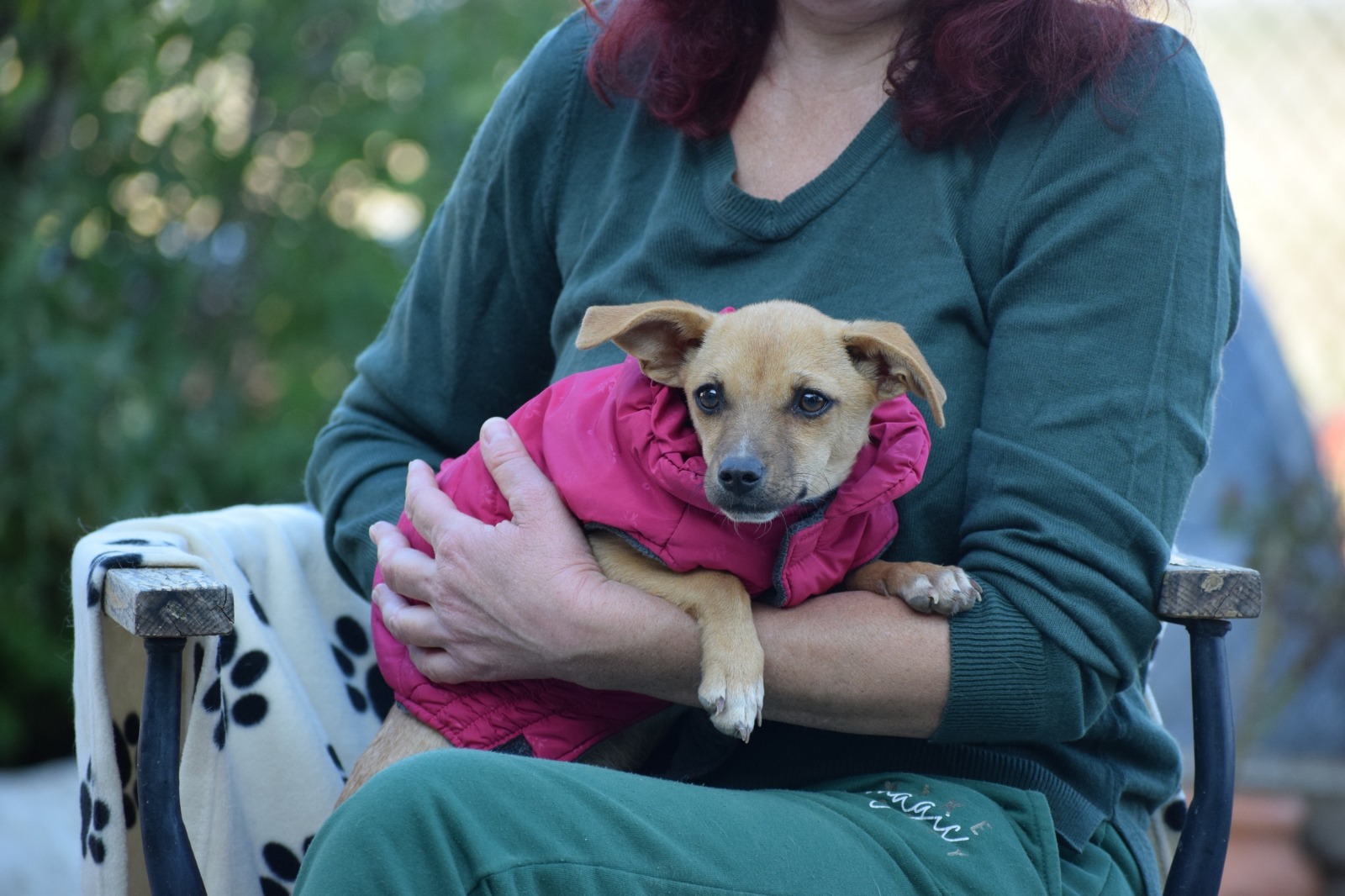 Fellnasen Stuttgart_Moxie (5)