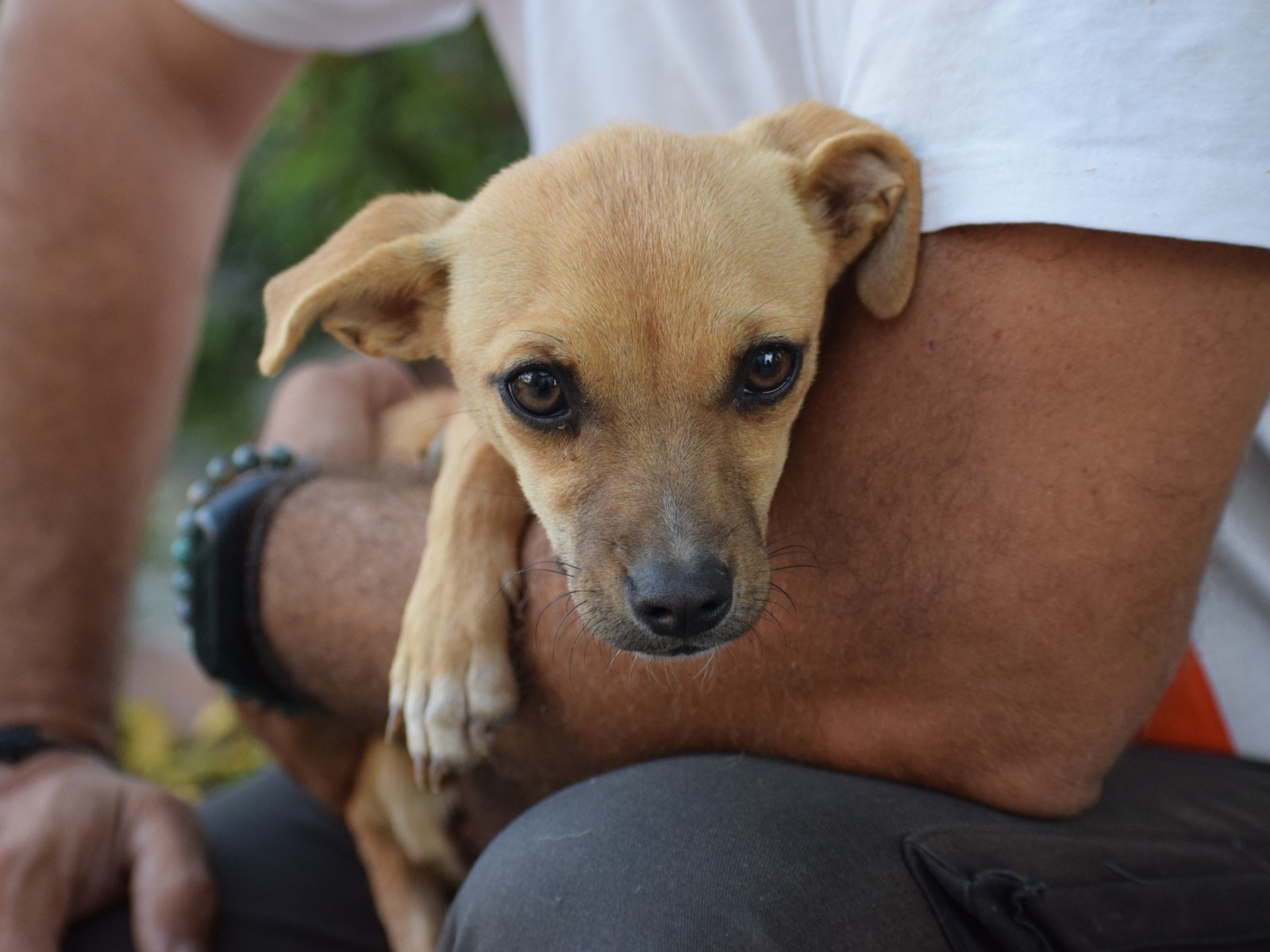 Fellnasen Stuttgart_Moxie (6)