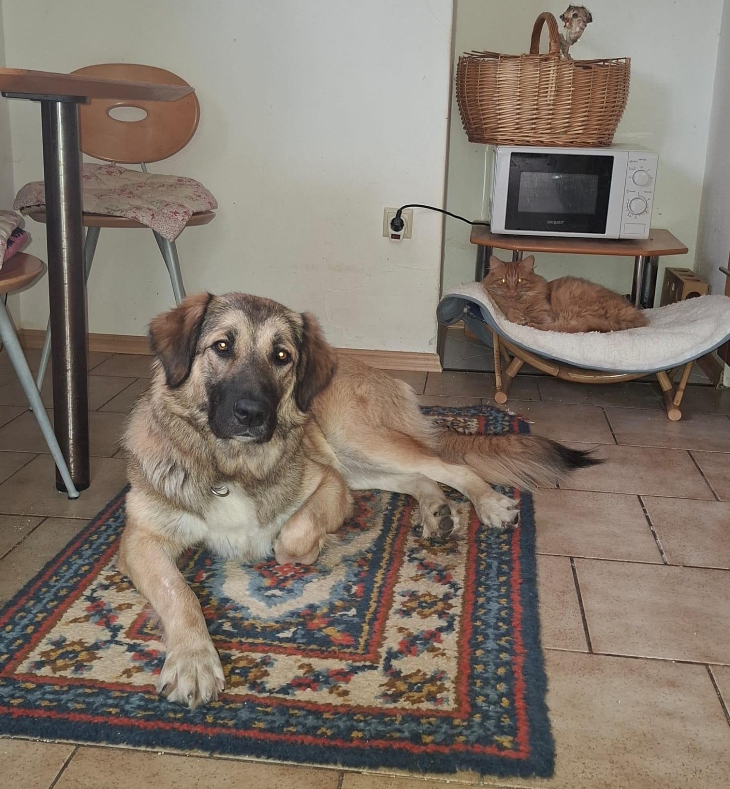 WhatsApp Image 2025-11-08 at 22.22.53 (1)