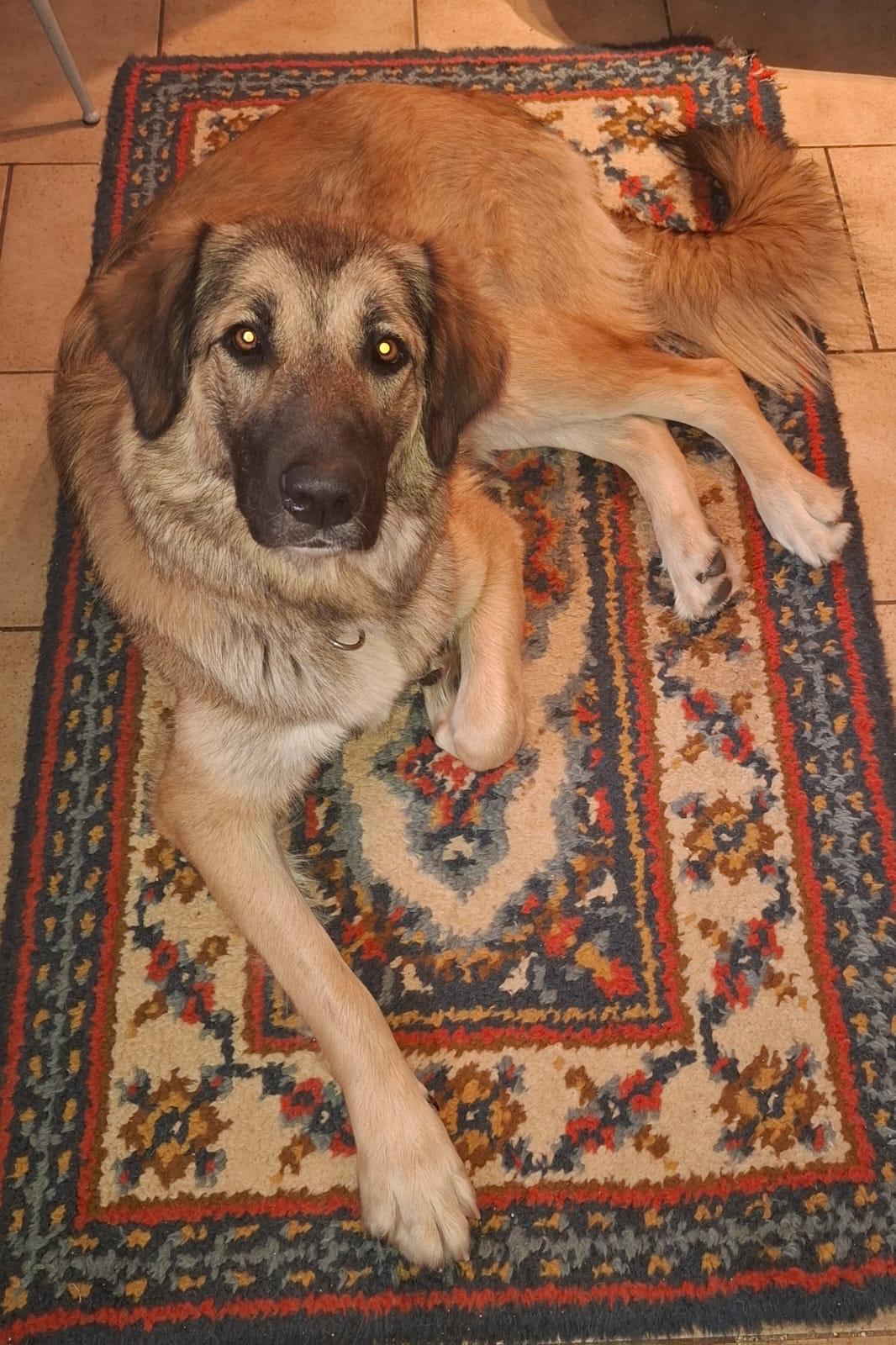 WhatsApp Image 2025-11-08 at 22.22.53