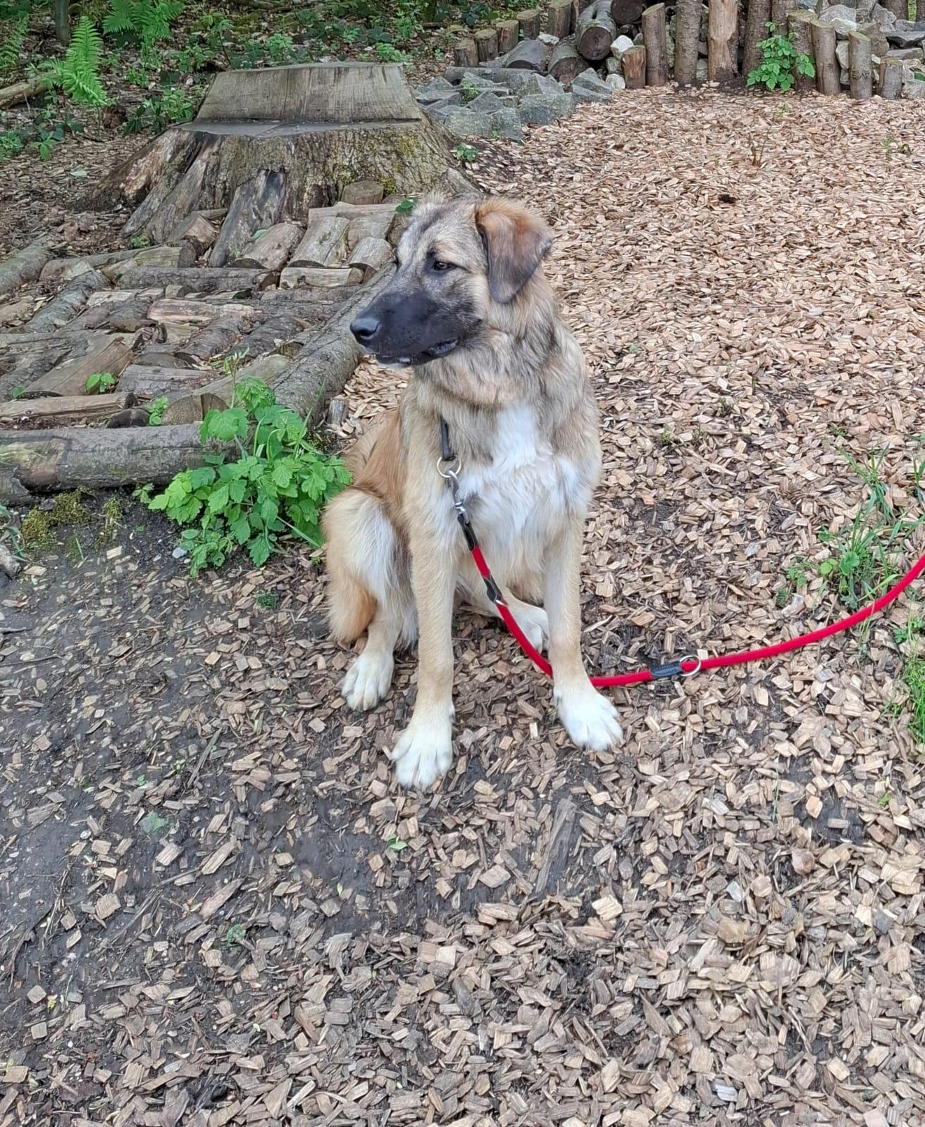 WhatsApp Image 2025-11-08 at 22.22.54 (2)