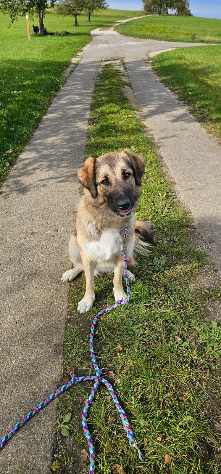 WhatsApp Image 2025-11-08 at 22.22.54