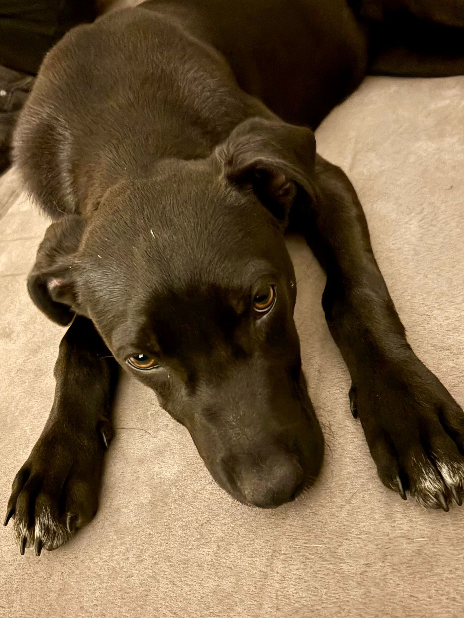 WhatsApp Image 2025-11-09 at 13.04.01