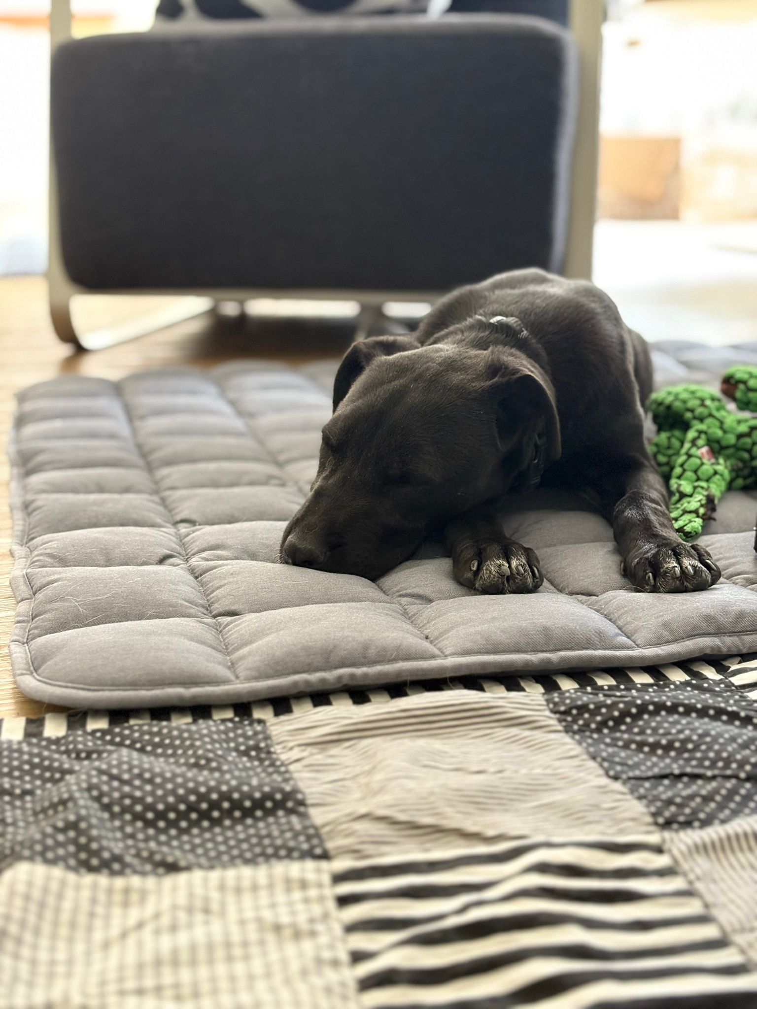 WhatsApp Image 2025-11-09 at 13.04.02 (1)