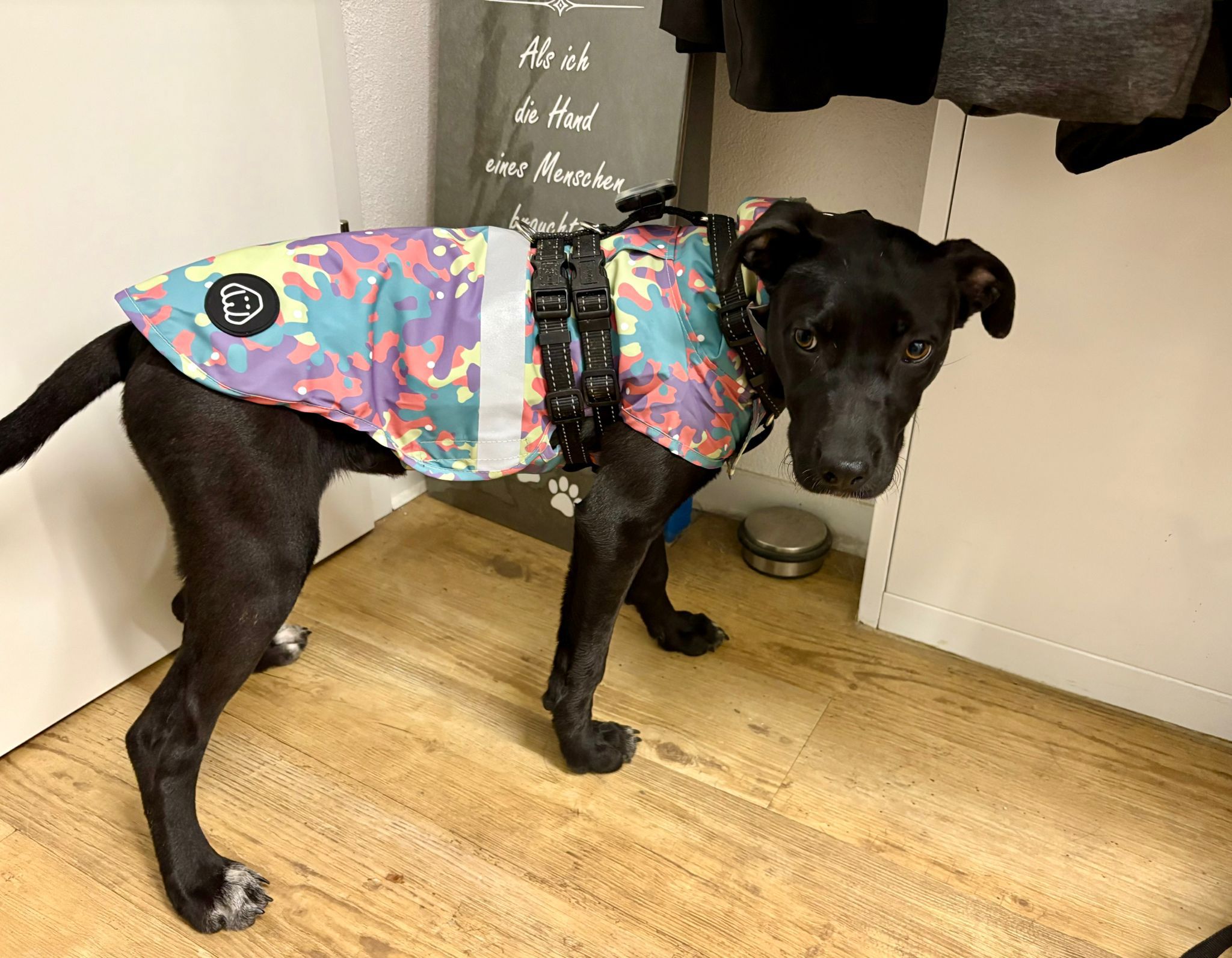 WhatsApp Image 2025-11-09 at 13.04.02