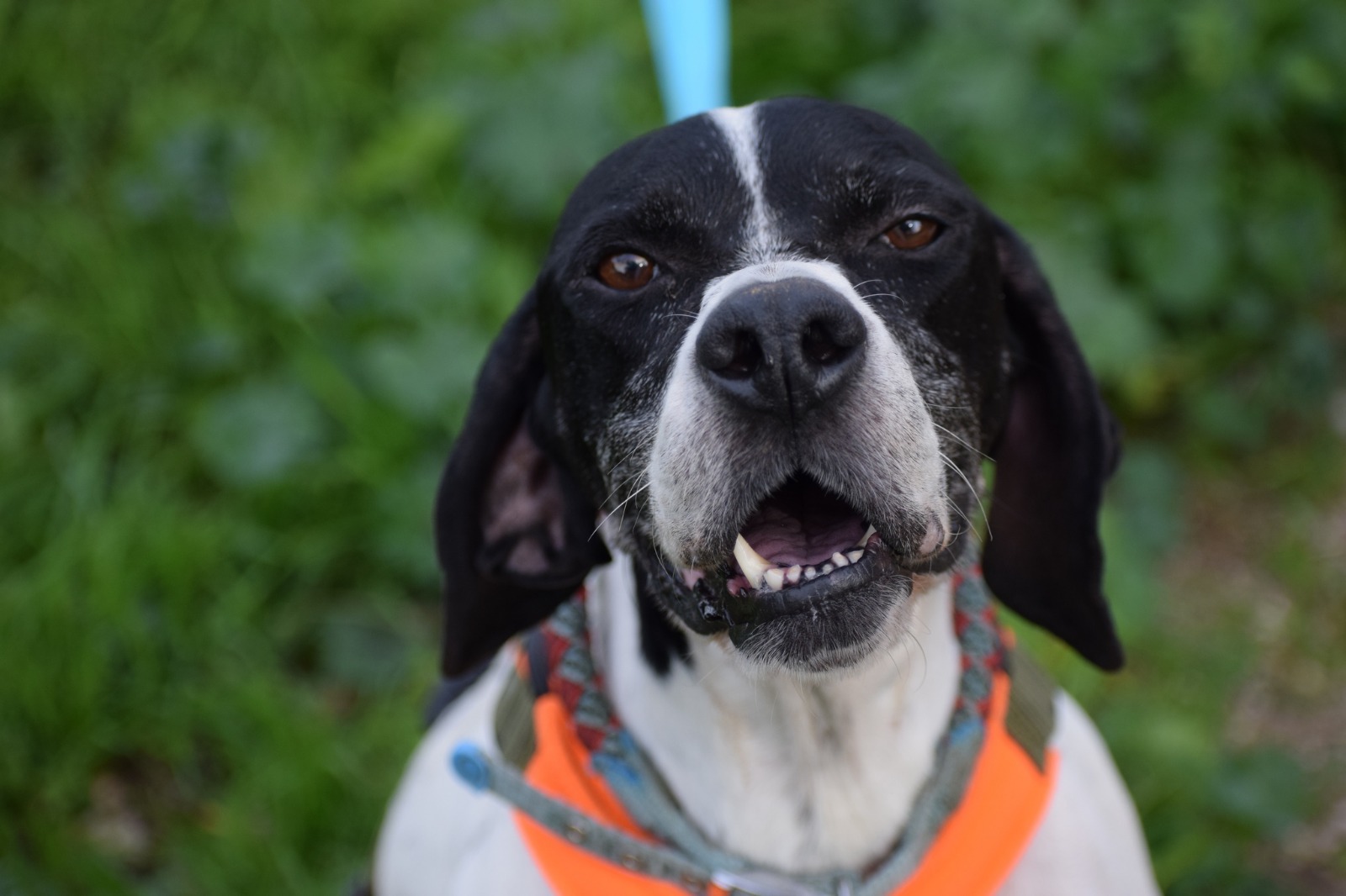 WhatsApp Image 2025-11-10 at 21.04.35 (1)