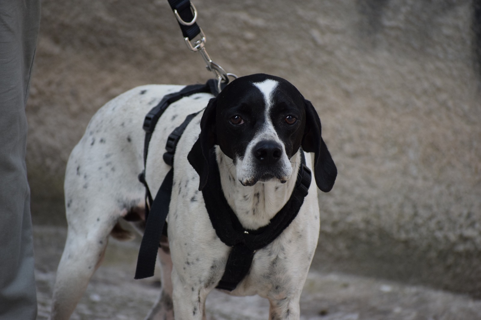 WhatsApp Image 2025-11-10 at 21.04.35