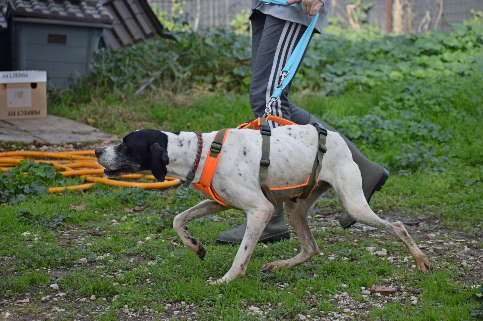 WhatsApp Image 2025-11-10 at 21.04.36 (1)