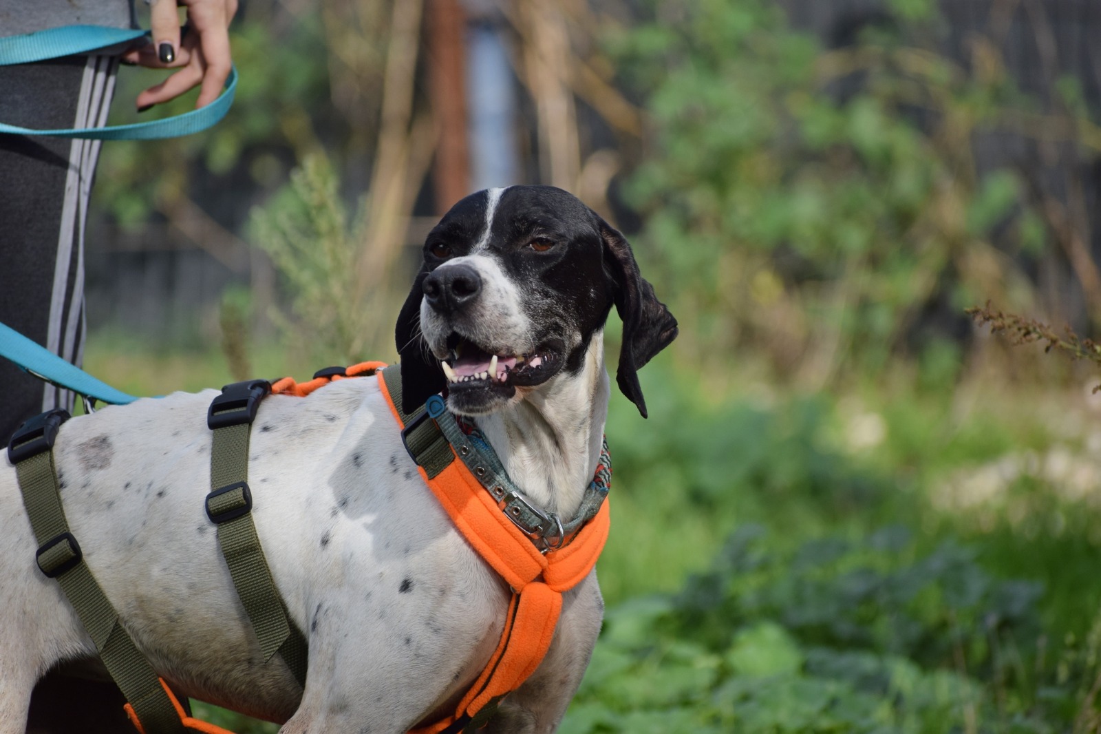 WhatsApp Image 2025-11-10 at 21.04.36