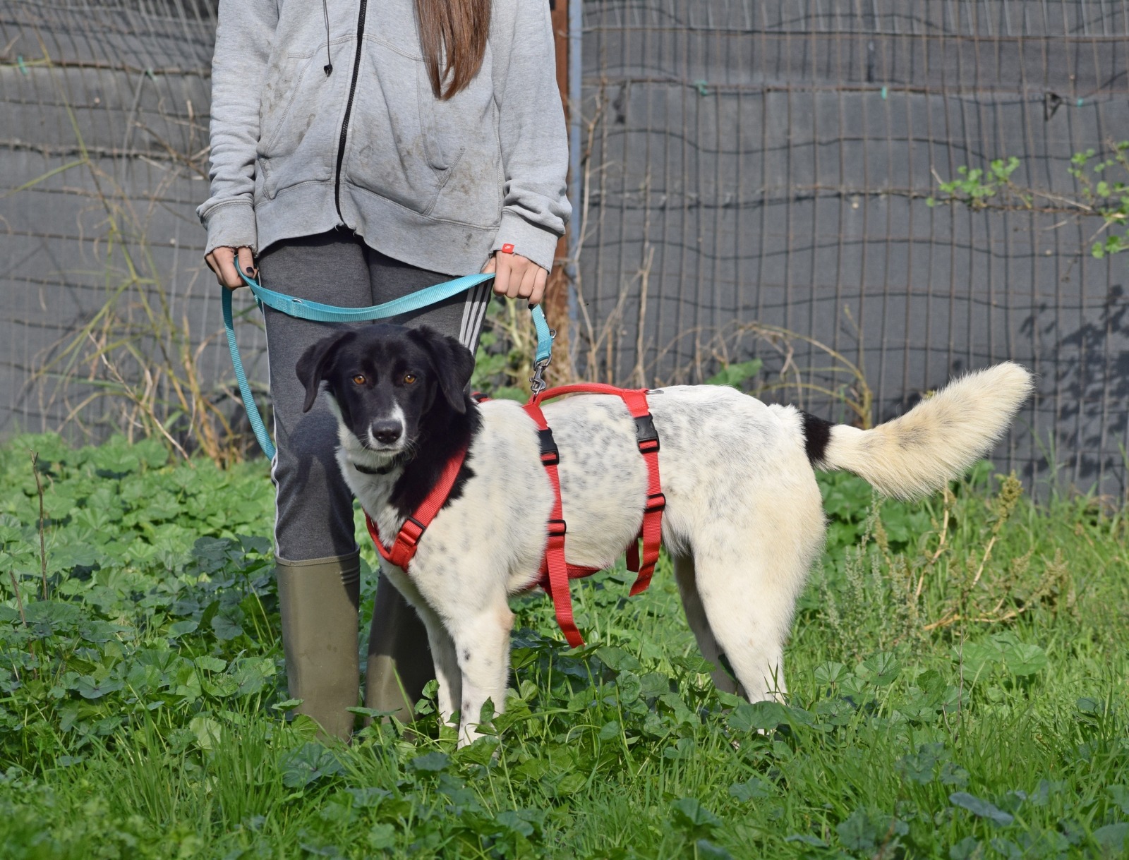 WhatsApp Image 2025-11-10 at 22.05.44 (1)