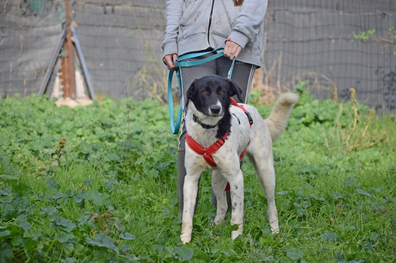 WhatsApp Image 2025-11-10 at 22.05.44 (2)