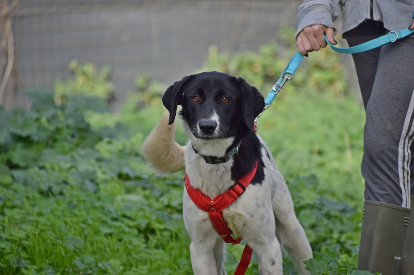 WhatsApp Image 2025-11-10 at 22.05.44 (3)