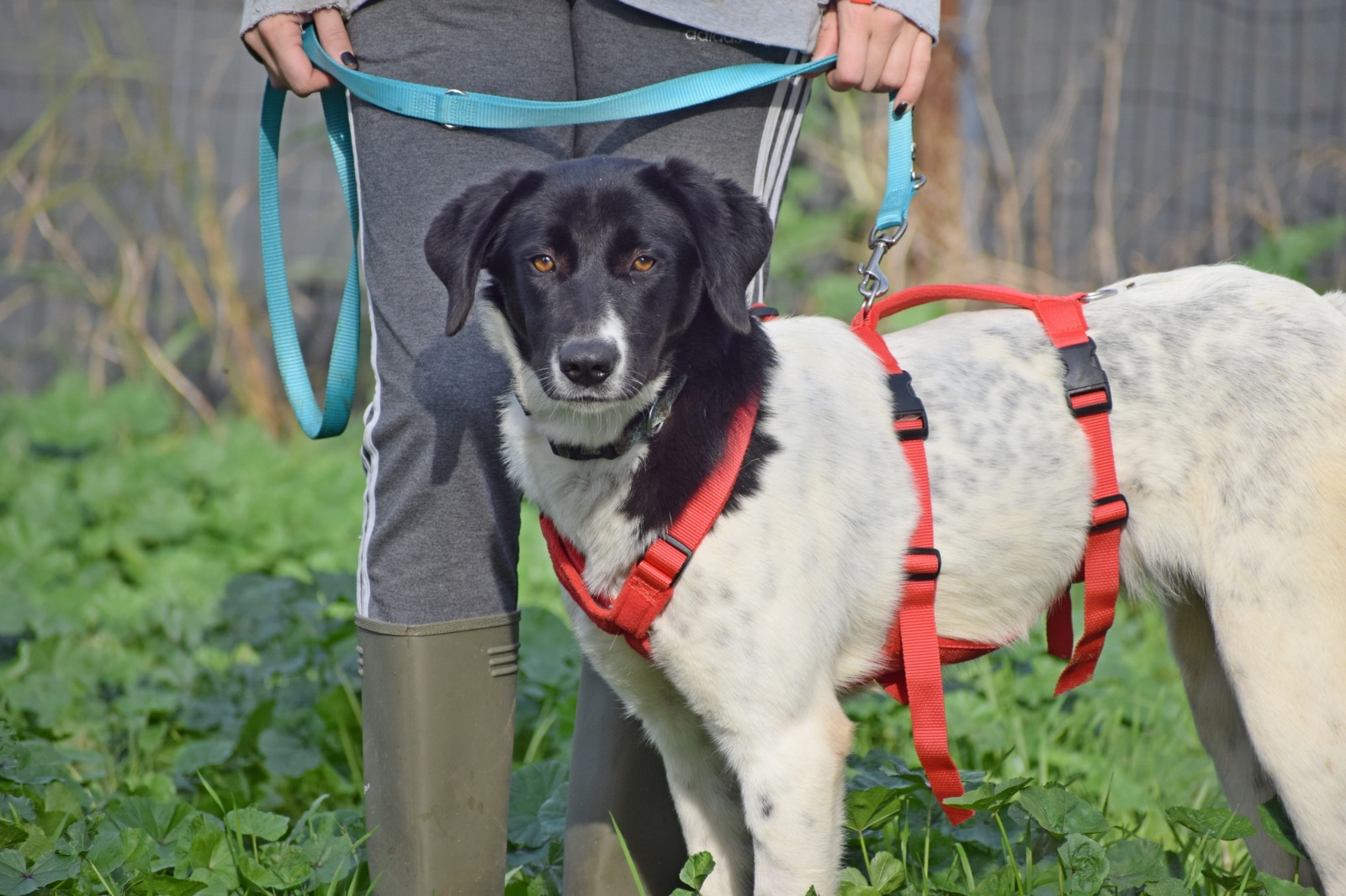 WhatsApp Image 2025-11-10 at 22.05.44