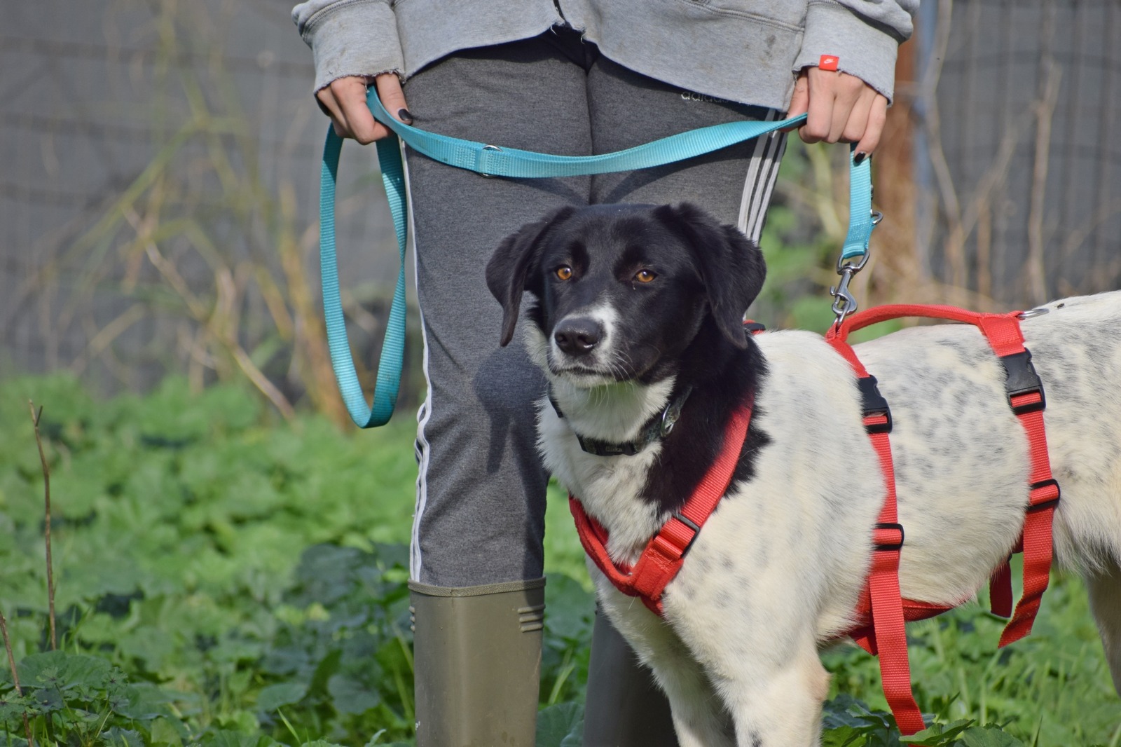 WhatsApp Image 2025-11-10 at 22.05.45 (1)