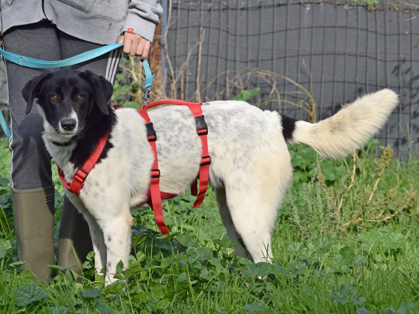 WhatsApp Image 2025-11-10 at 22.05.45