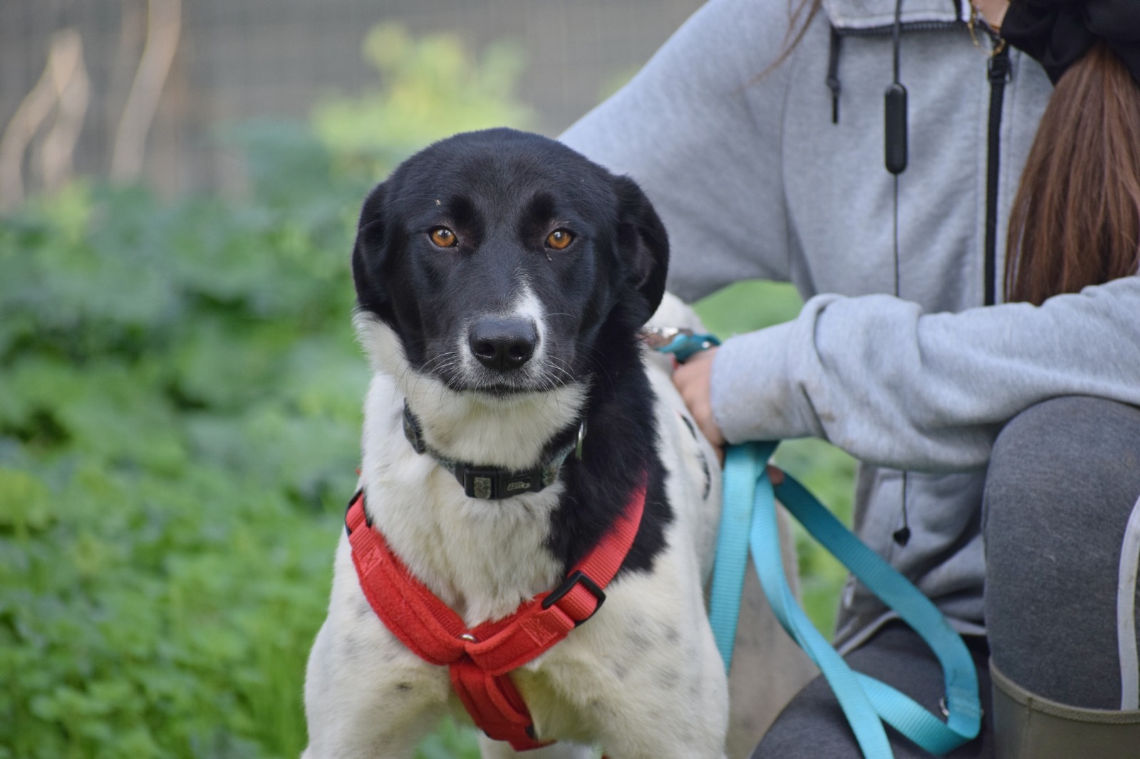 WhatsApp Image 2025-11-10 at 22.05.45