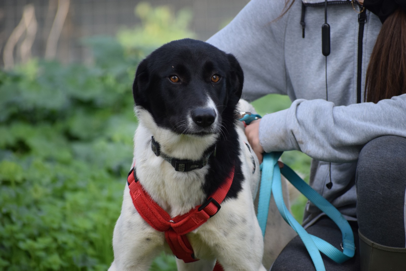 WhatsApp Image 2025-11-10 at 22.05.46 (1)