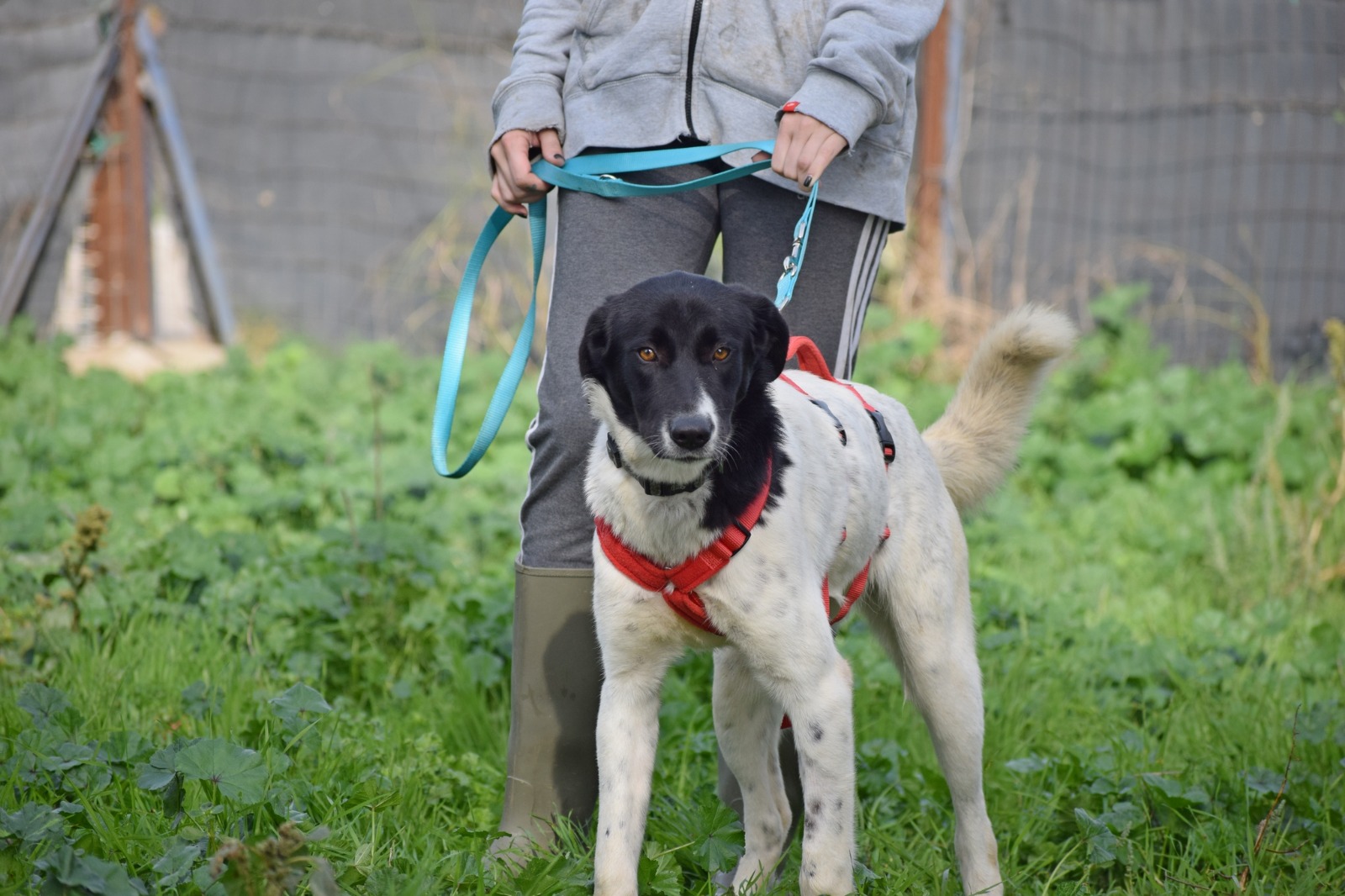 WhatsApp Image 2025-11-10 at 22.05.46