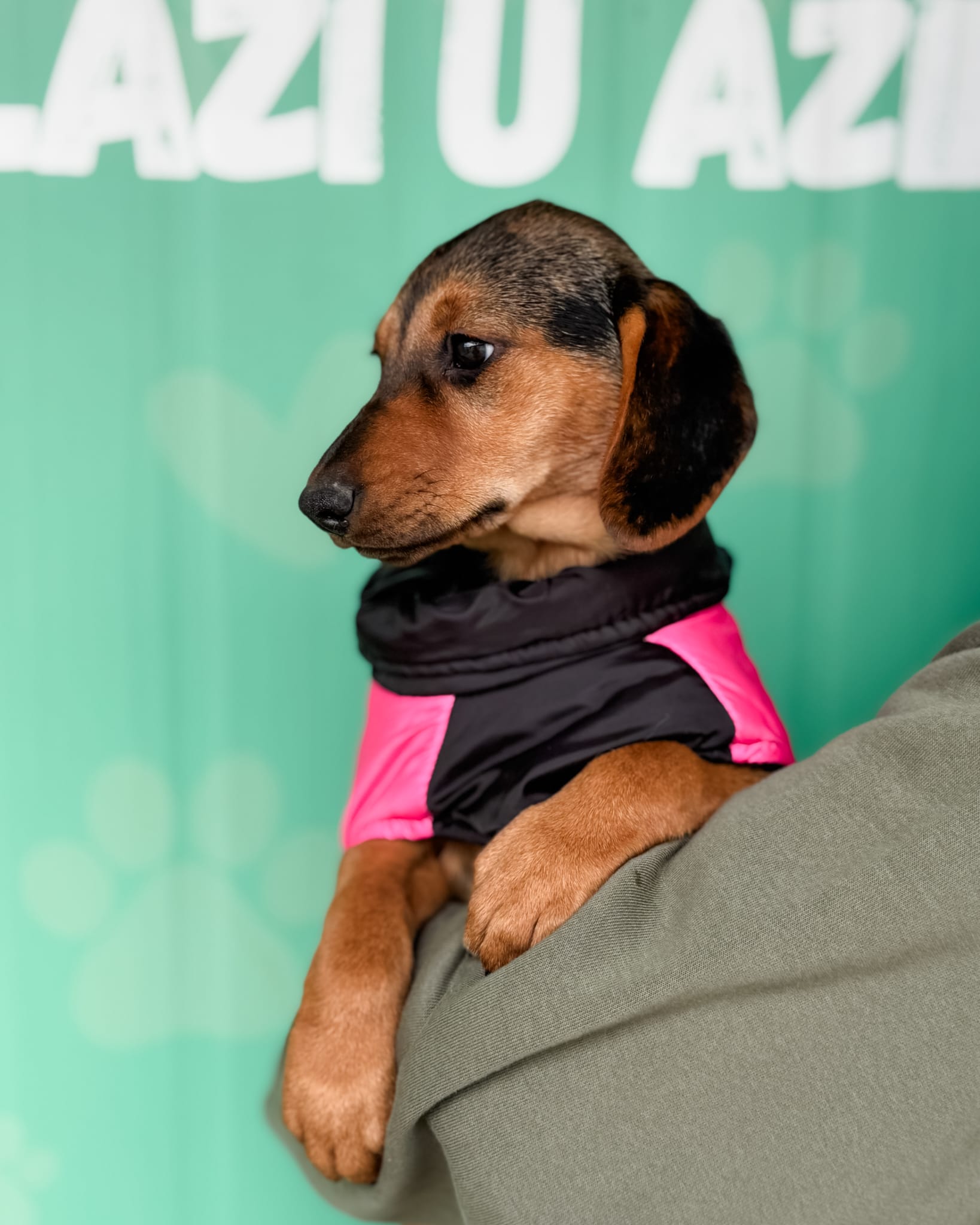 018601a5-e1a0-43dc-80df-87f4f64b6239 (1)