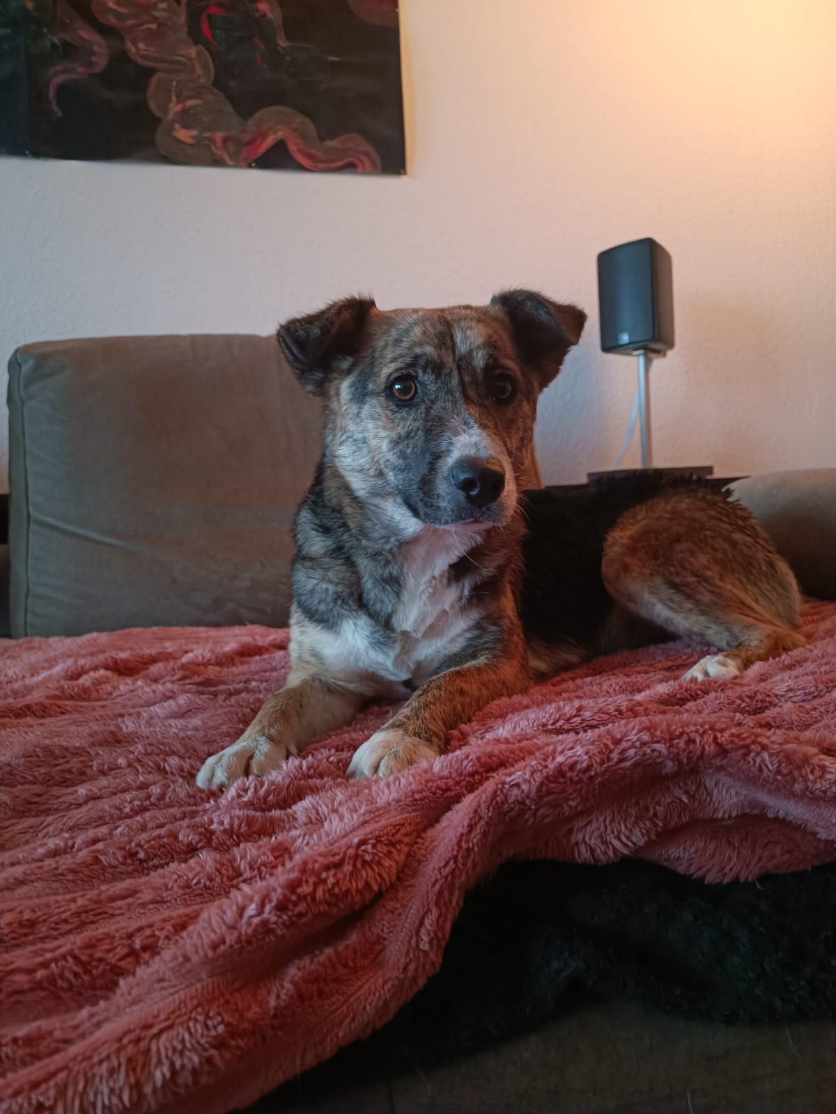 02db6c06-38a8-442f-8b64-52f7741e029c