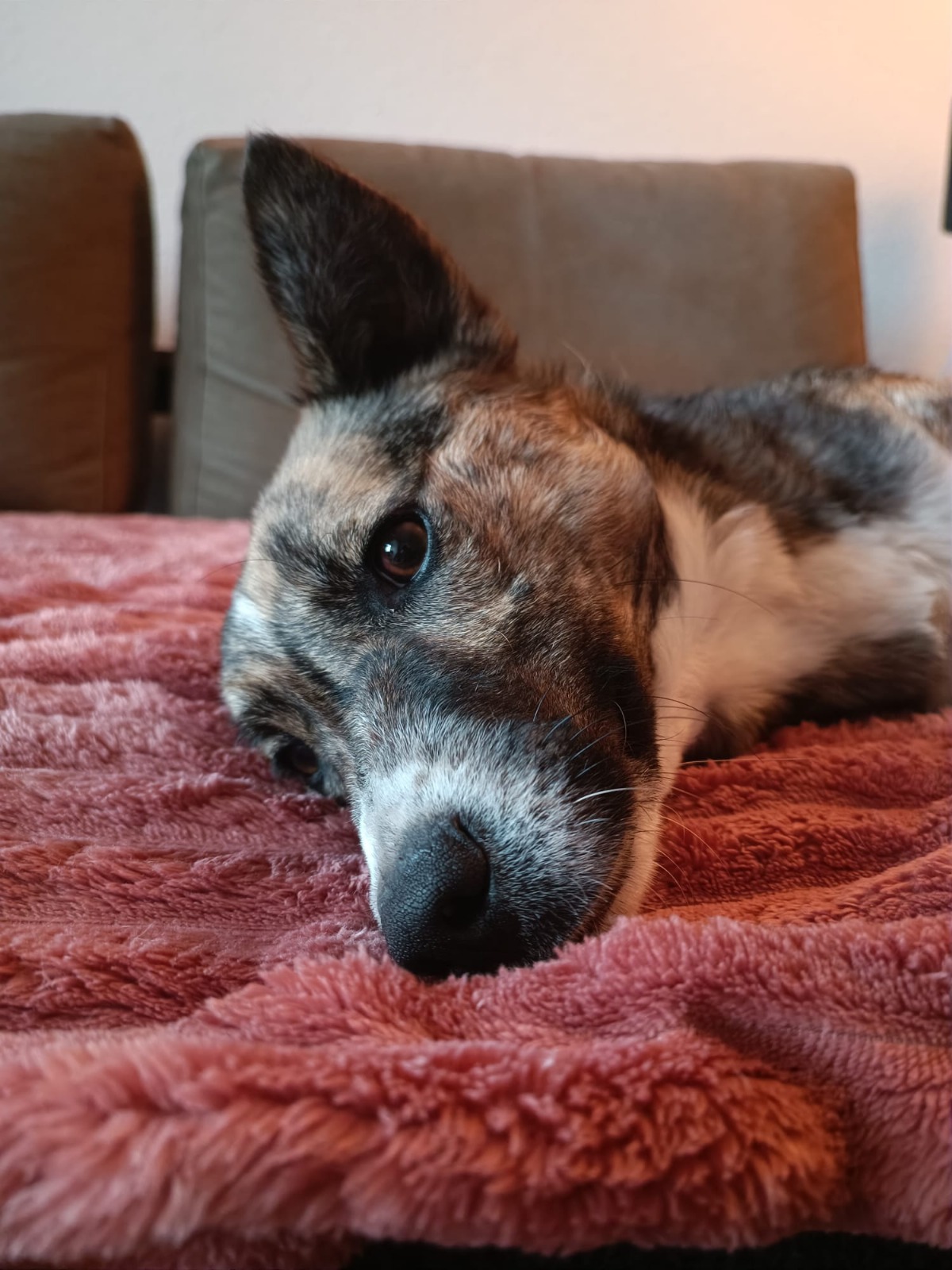 070e85aa-e6fc-4ac6-a41d-70237929d177