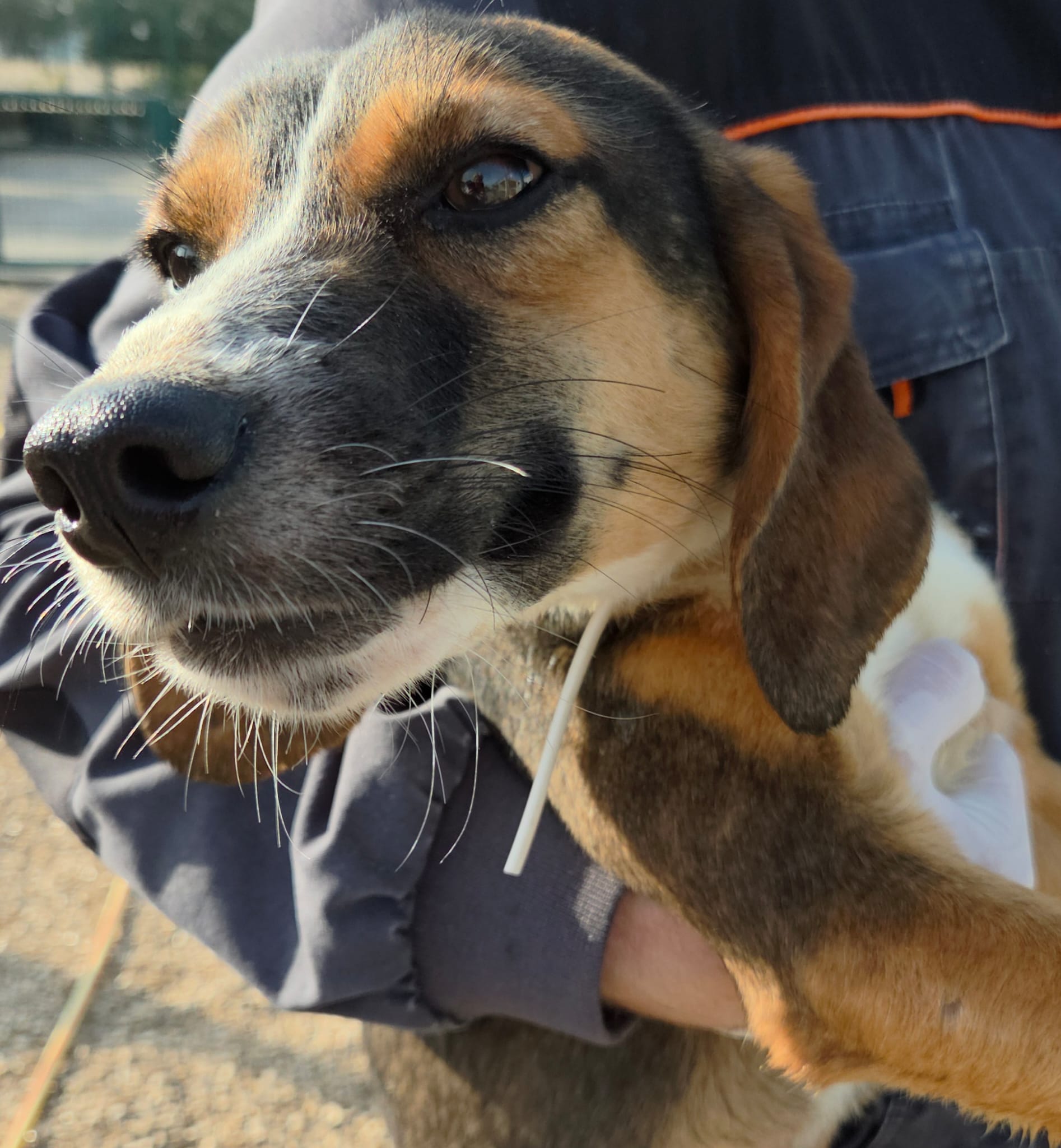 075b50e7-5f28-43d2-9fec-51d2f910115f