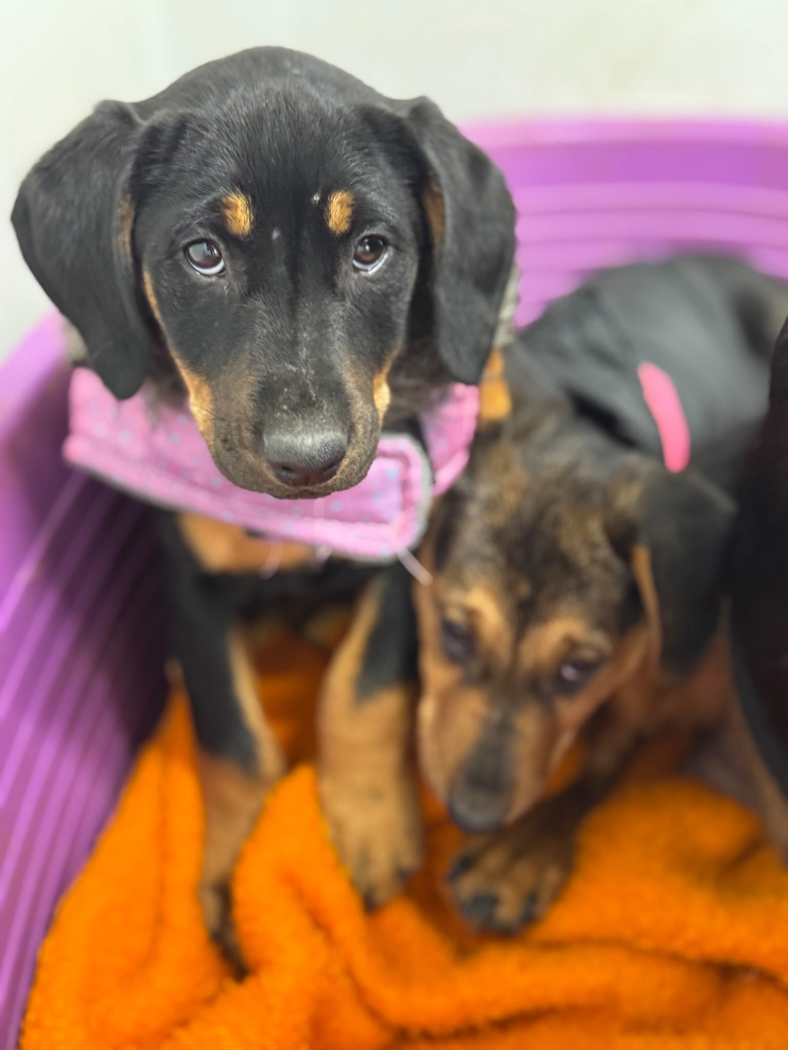 090028c0-7fb2-4c7d-989d-eed249e56a48