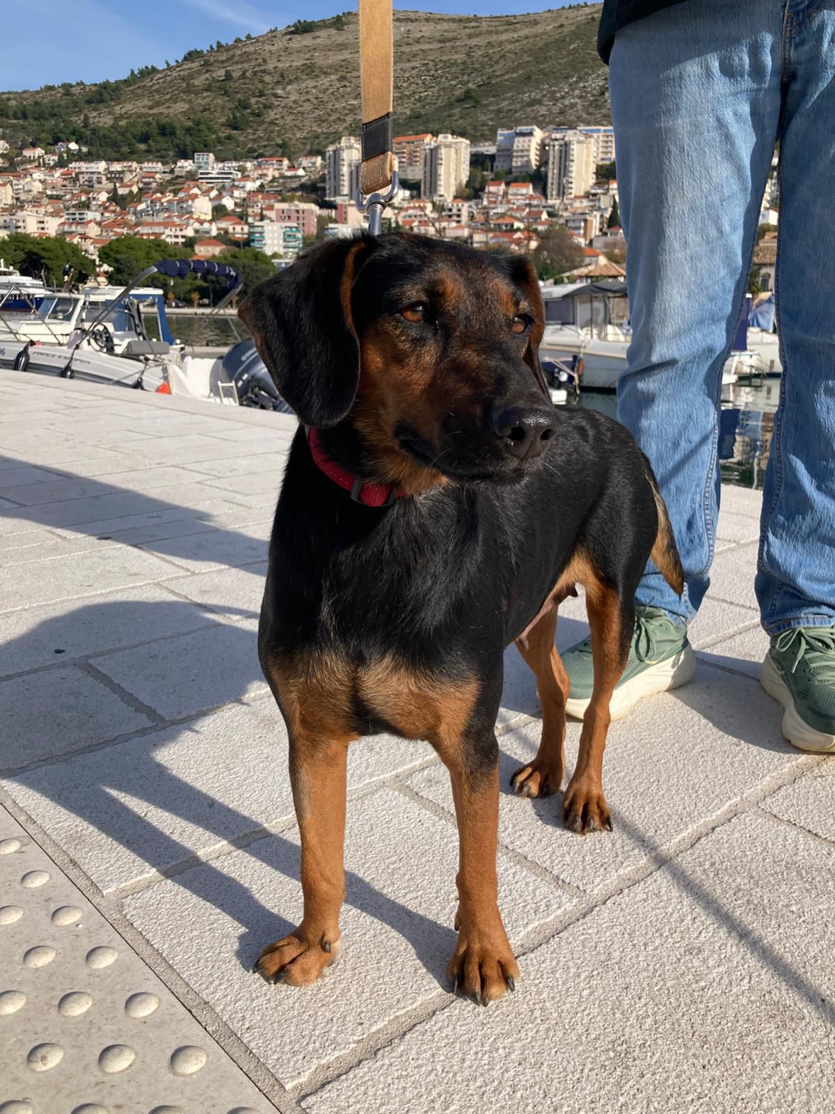 0b348e8b-ae24-4685-88f6-d3e95e9f479a