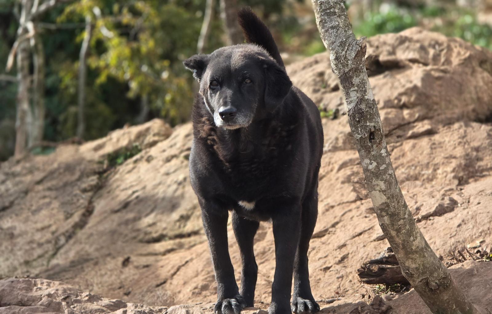 1567c661-f2d5-4933-b08e-3b1f07d8da2b