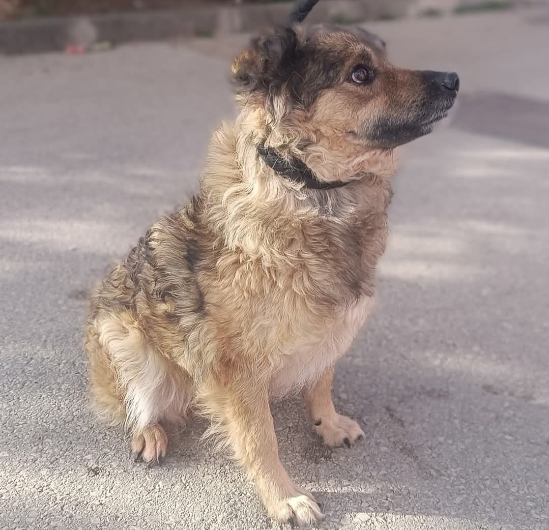 17bf4aaf-7036-4f2f-b77c-7e2ecf38cd35