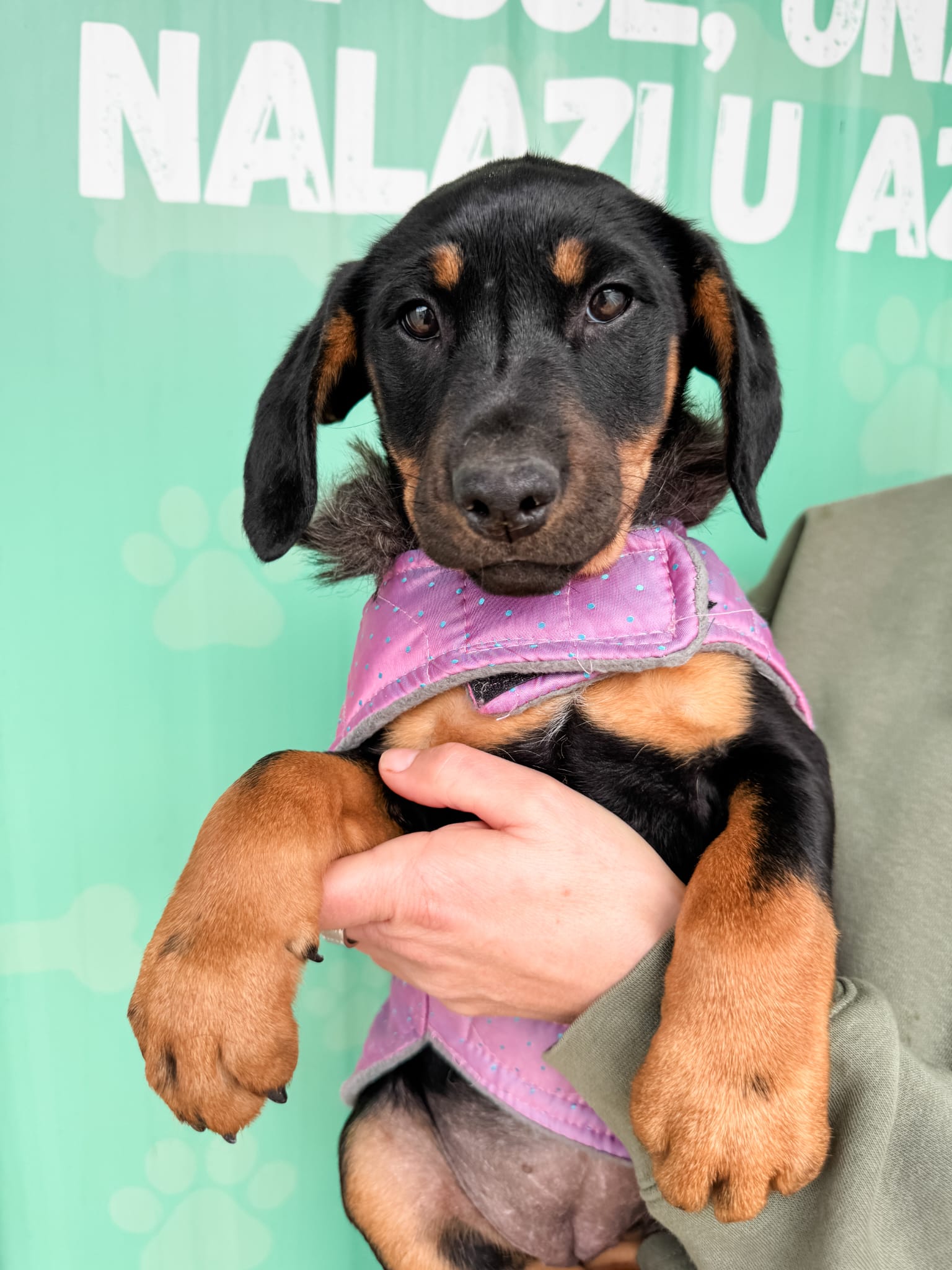 19948e0c-ef3e-4b1b-b8bb-e91c523d19c6