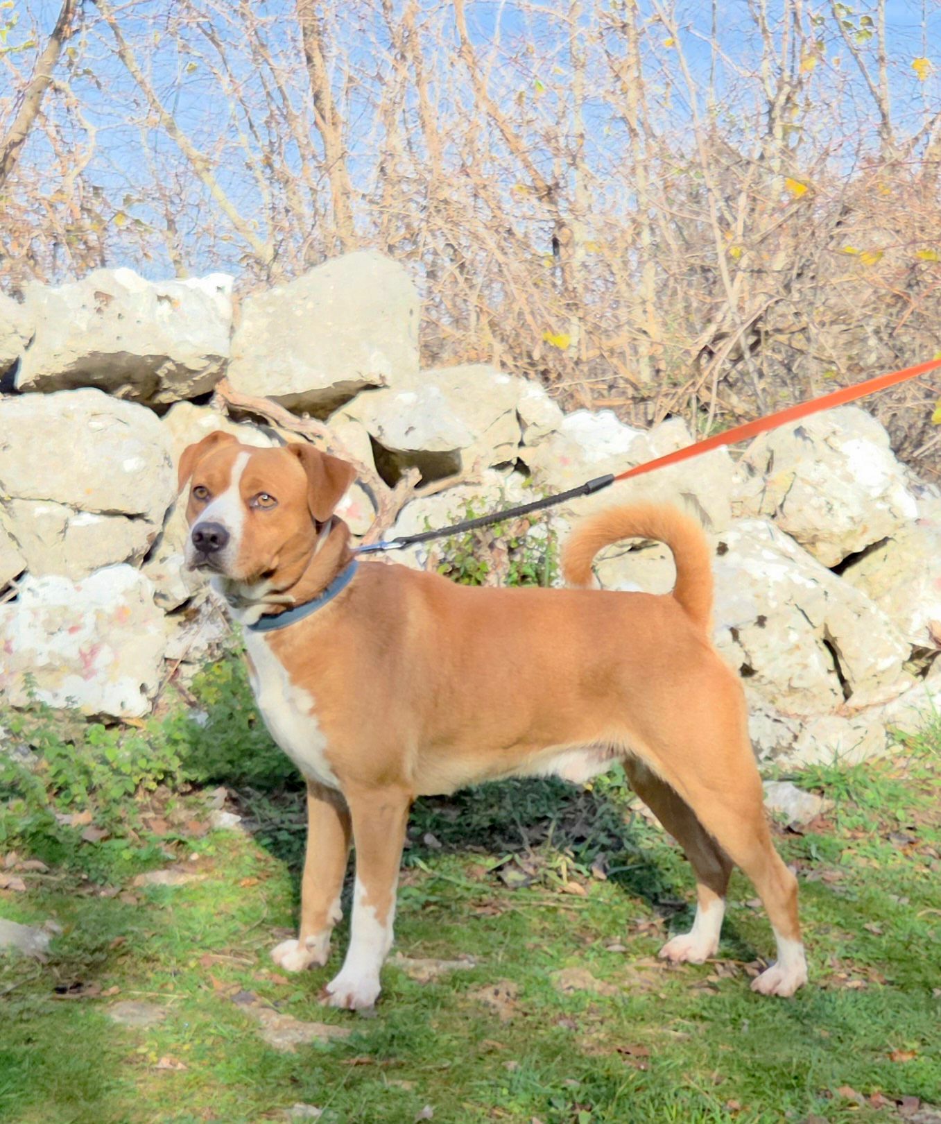 1b2e74b6-89ae-4544-8e89-b2918c8c56ee