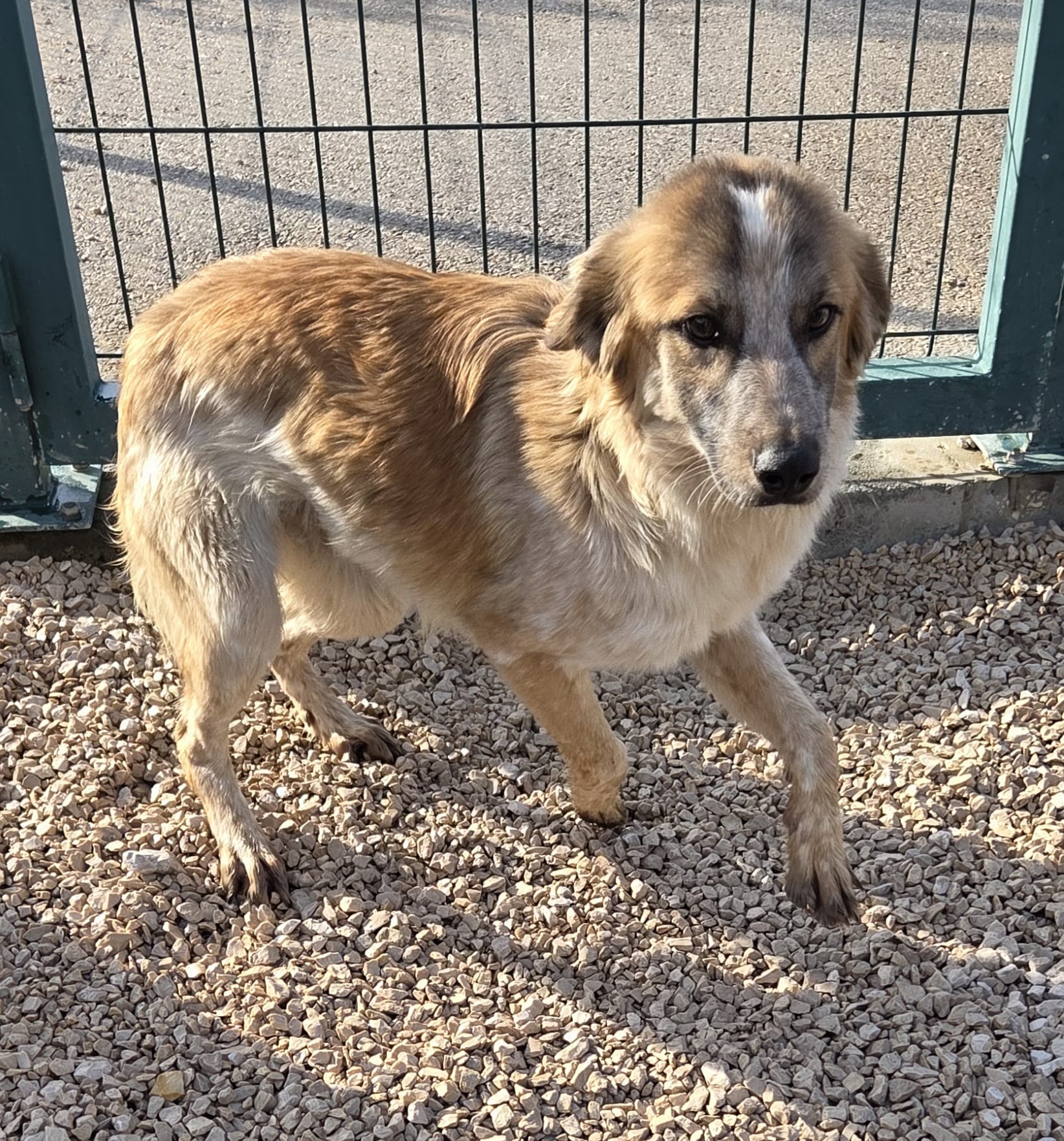 1ca93c90-d6b4-4f09-a3b6-8f1e5bf7e957