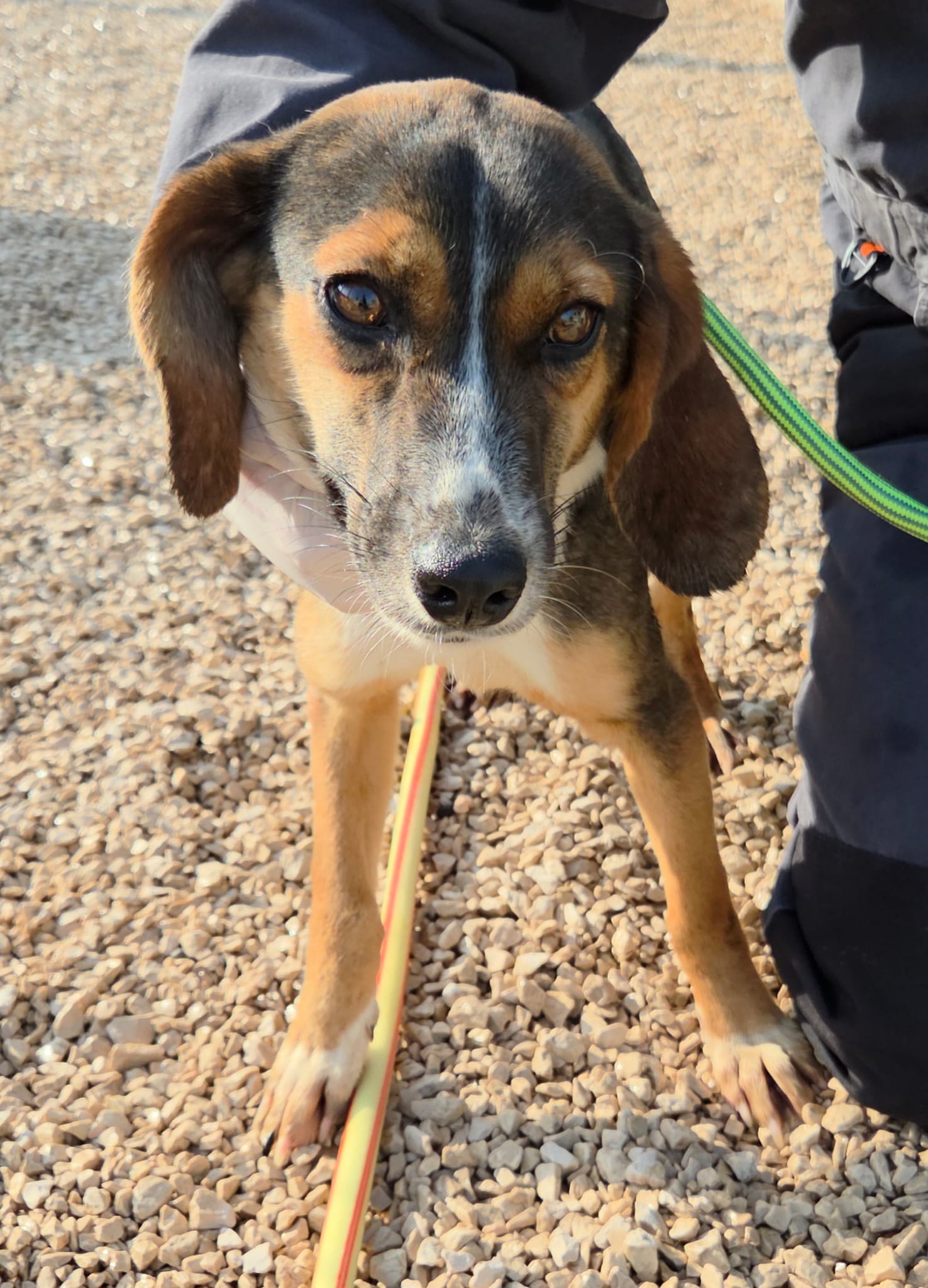 2ca0d0bd-8edf-455b-bd8a-982775f34d52