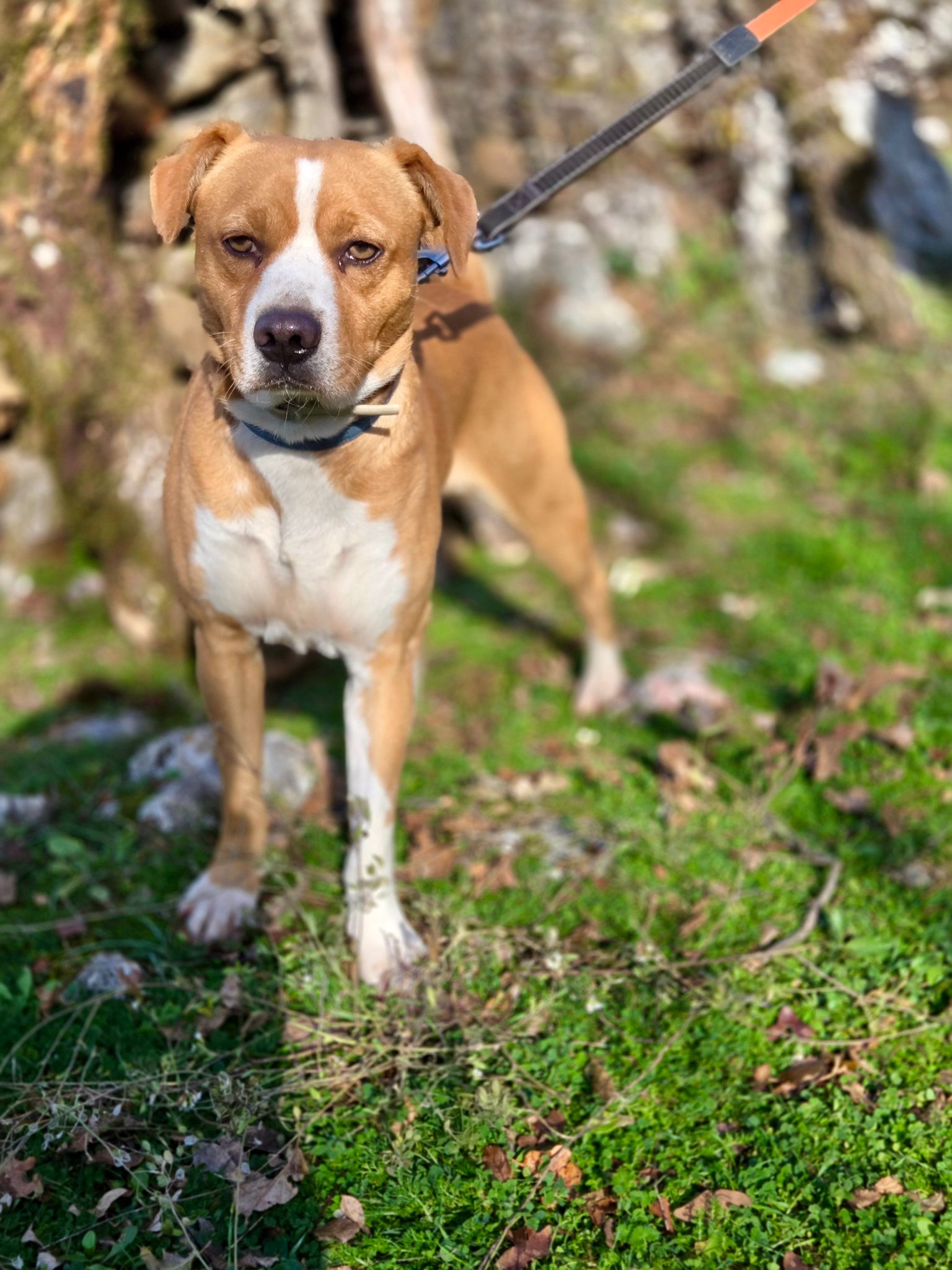 2e9751a1-fd86-4a2a-84ad-aa4fa3a37b35