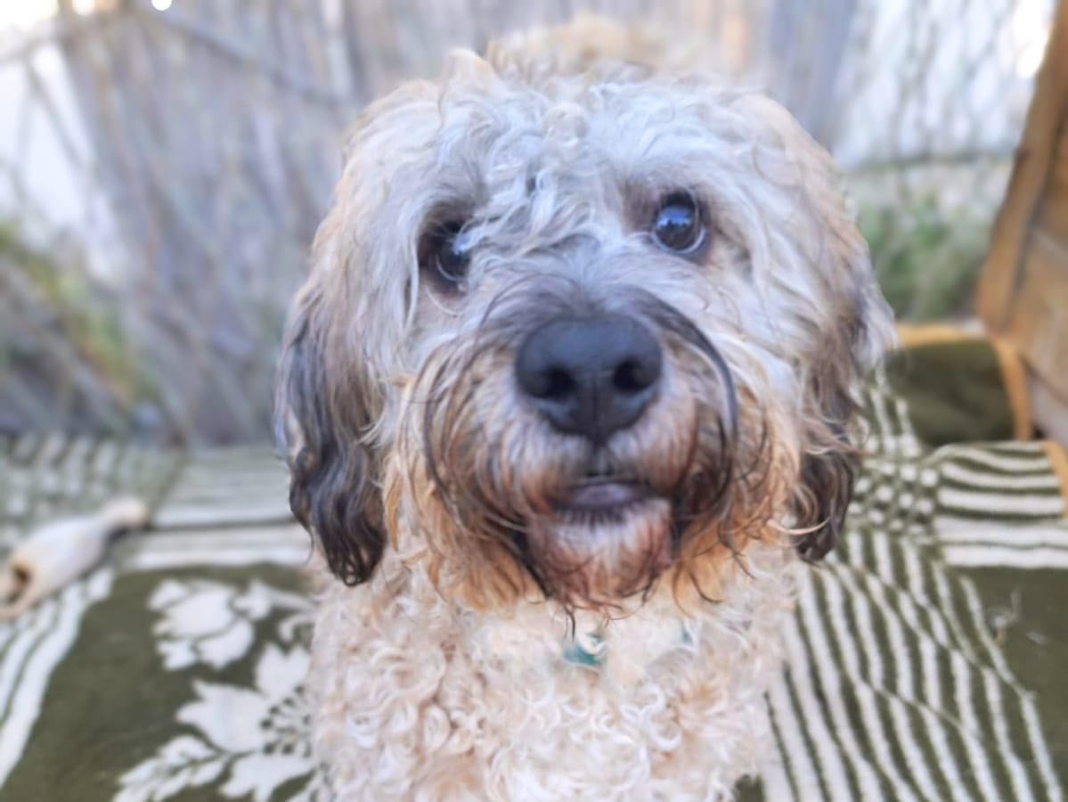 2f9e2d29-a655-4188-a0ae-dbd0606f3606