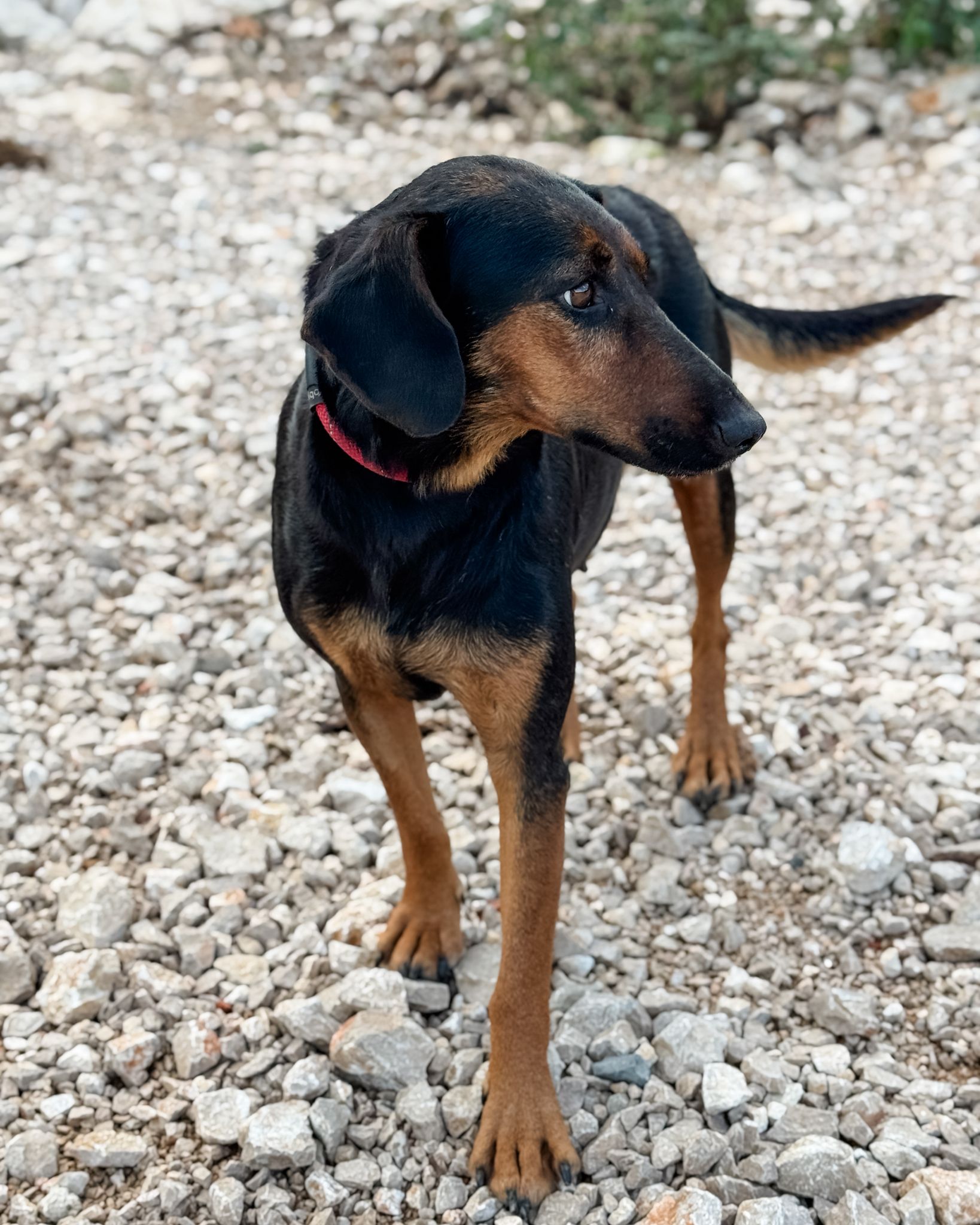 31d4e3fe-d03a-4d2d-a22e-8f406dc34503