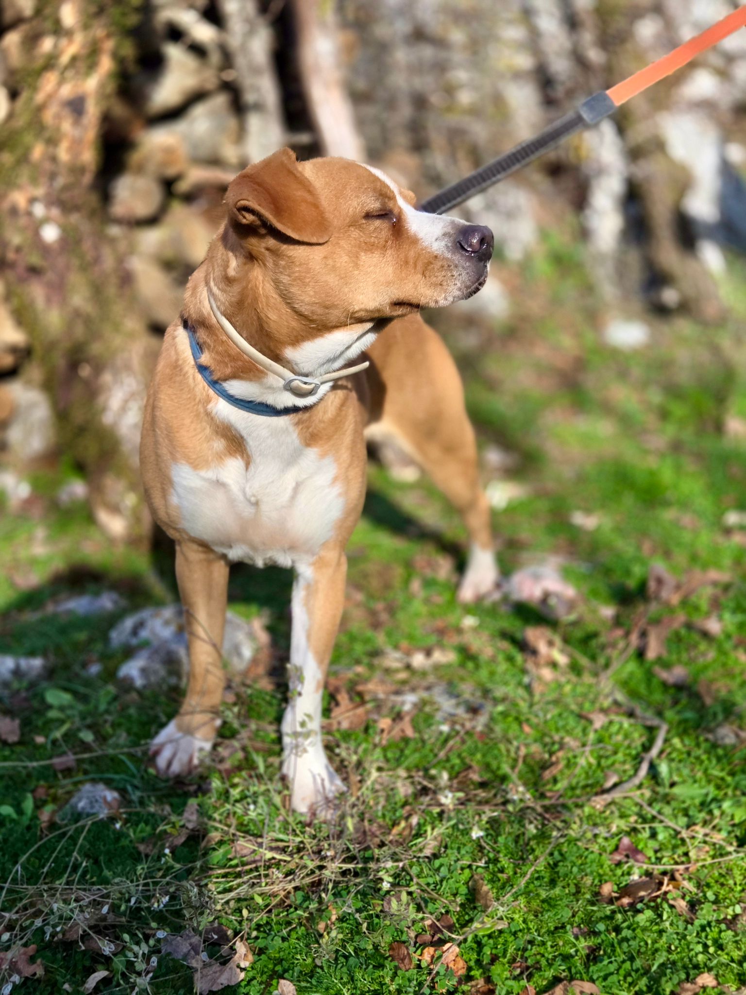 38411e79-24c0-405d-be93-2ca54ac06663