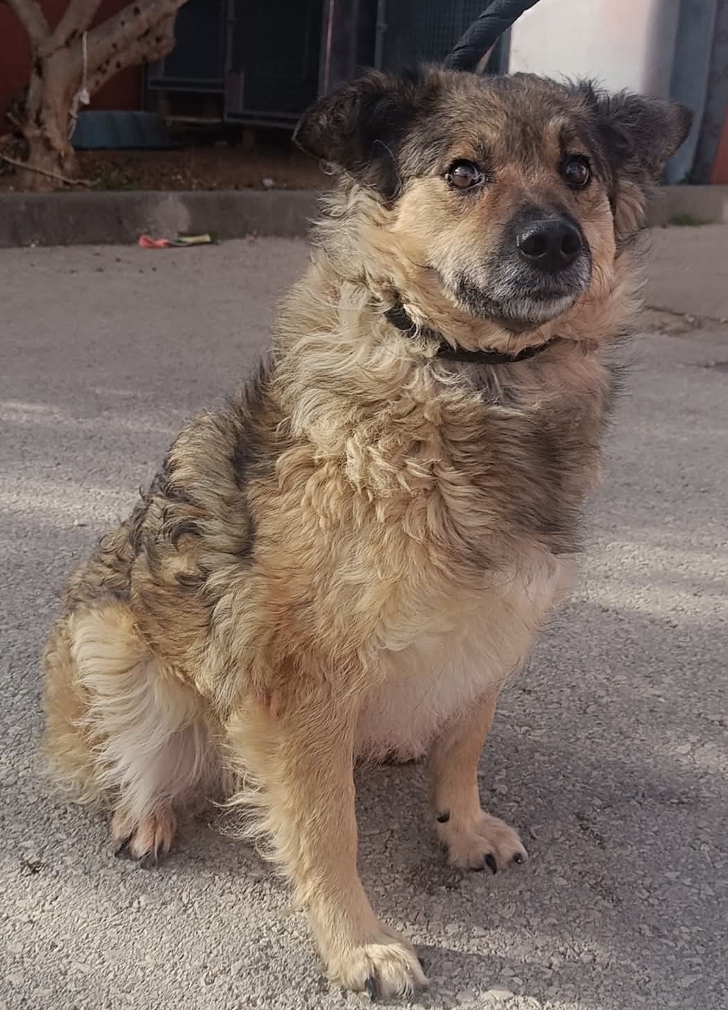 41cbf394-d4b6-4ad9-b7a6-0a5f307feb67