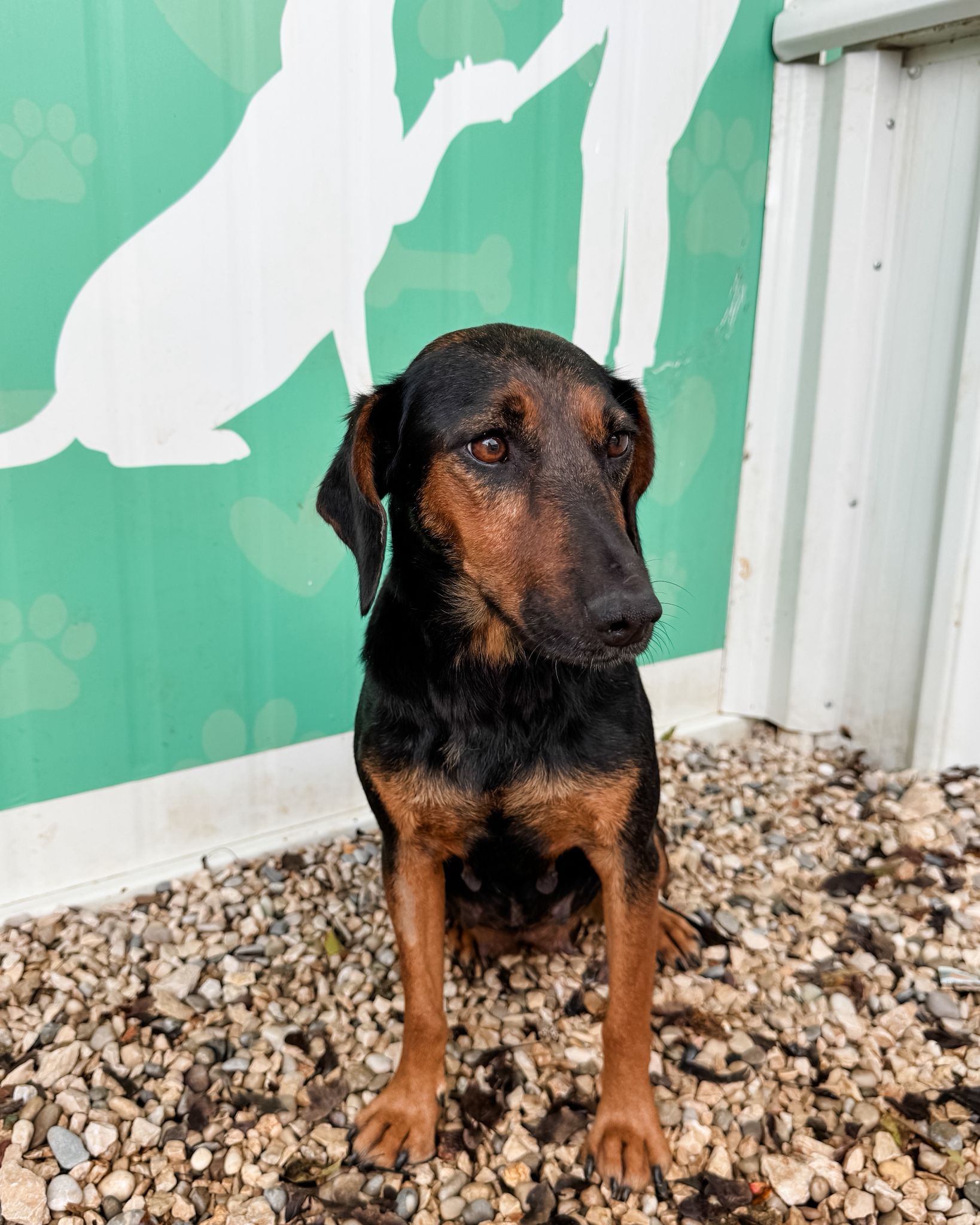 4db04072-ecc2-494a-8f44-b569ca553c78